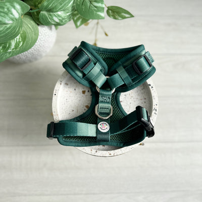 Shades of green - adjustable harness