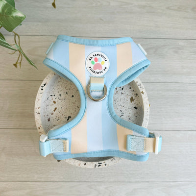 Shades of beach - adjustable harness