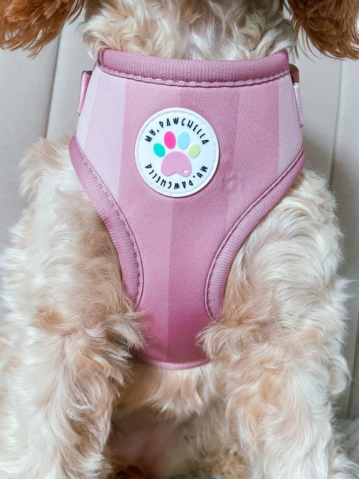 'Shades of Blush' Harness (7302208913577)