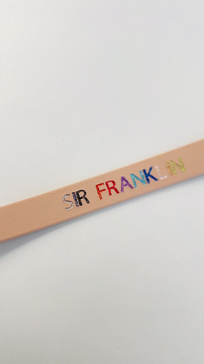 Embossed GLITTER painted biothane - name tag
