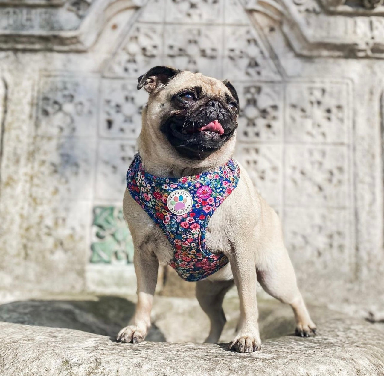 Wildflower Harness (7107796598953)