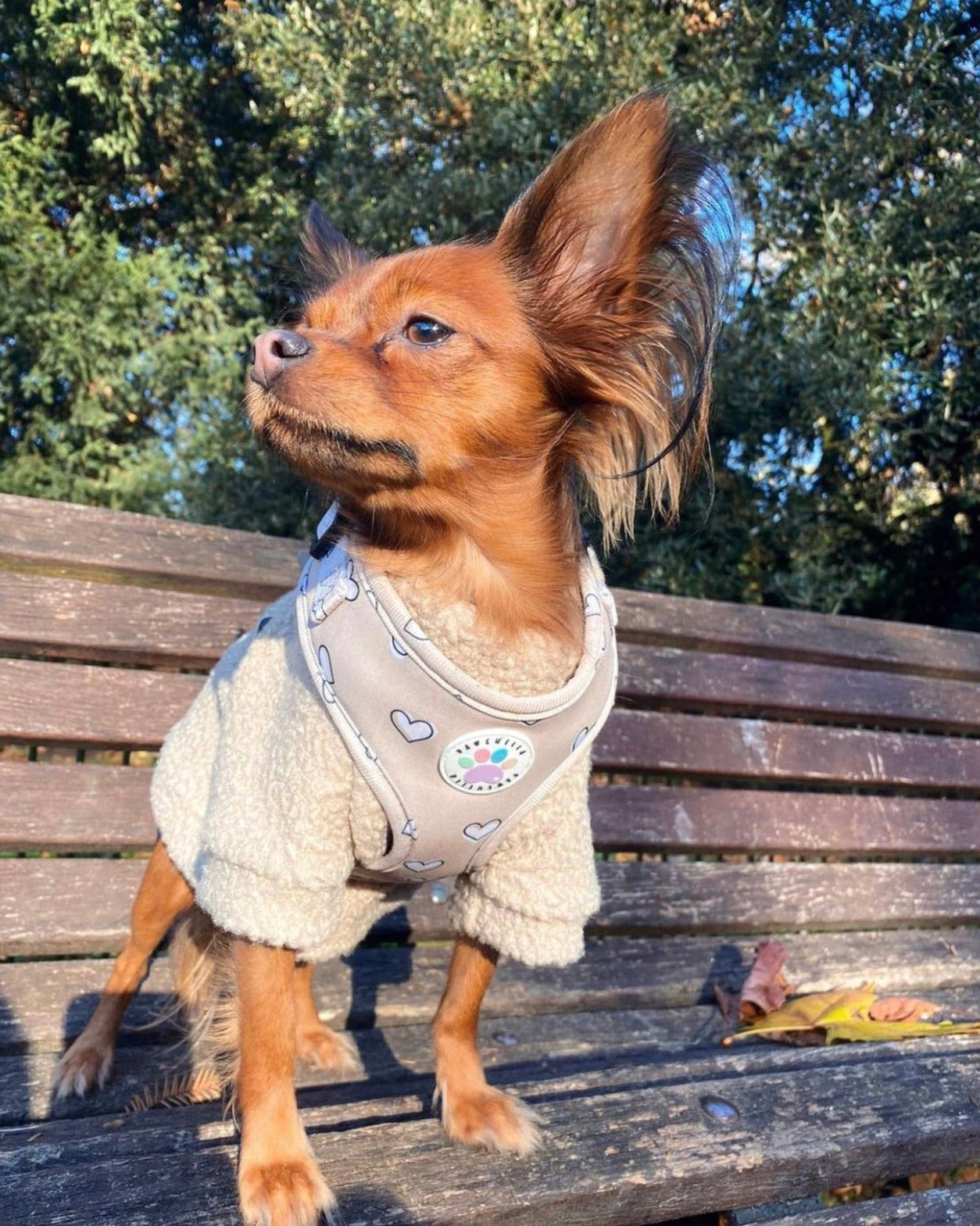 Heart of Gold Harness (6366082072745)