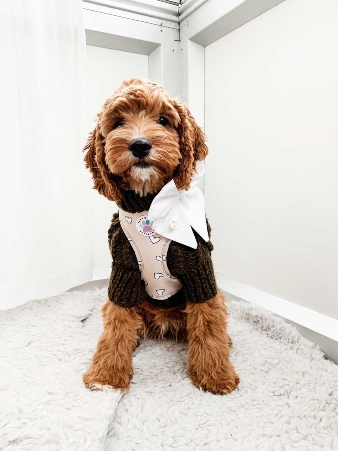 Heart of Gold Harness (6366082072745)