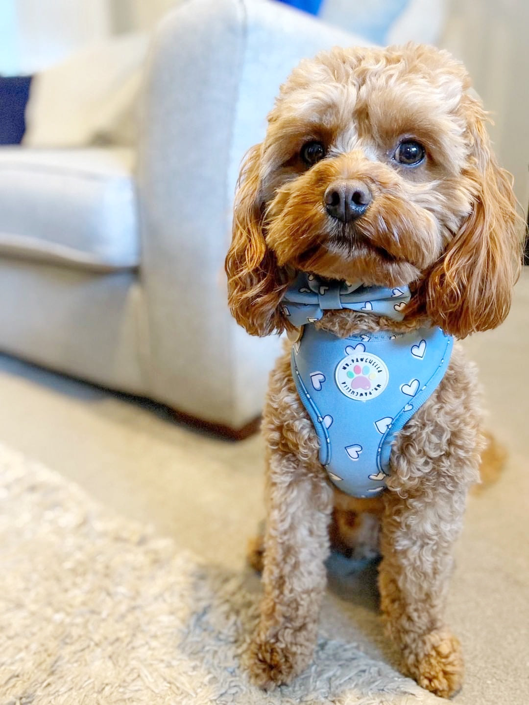 Heart of Blue Harness (7525888295139)