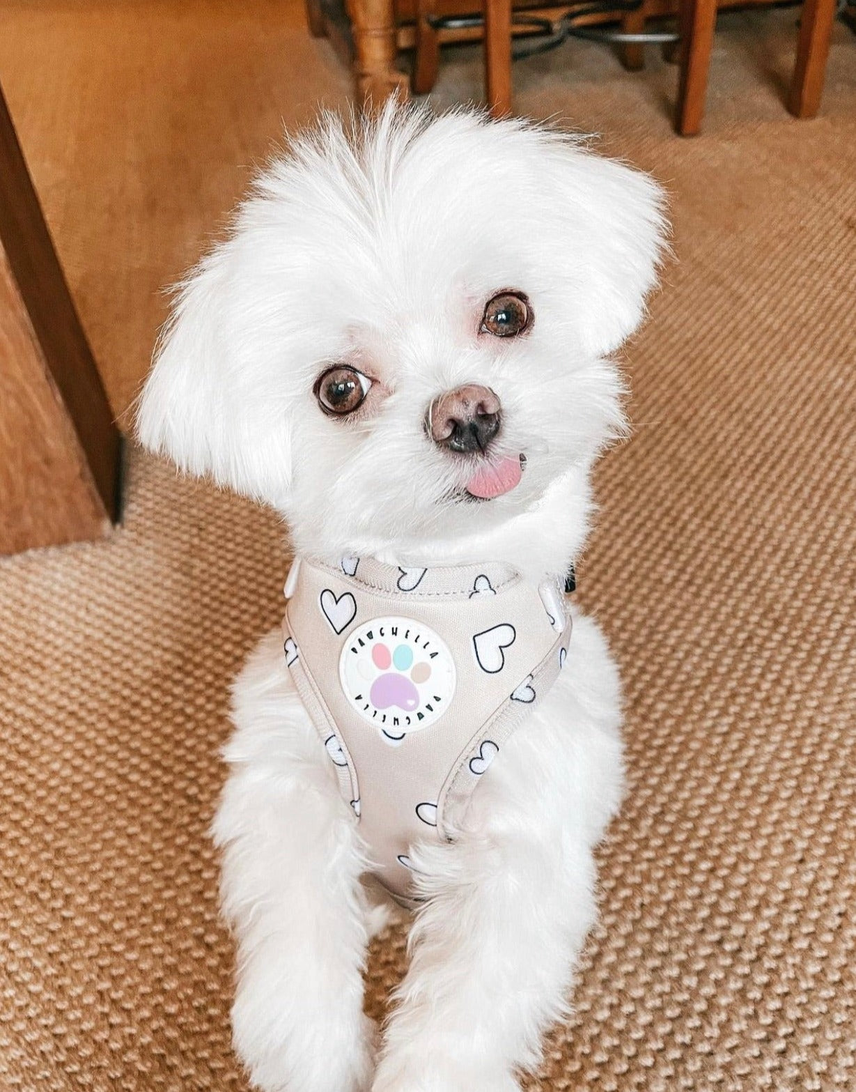 Heart of Gold Harness (6366082072745)