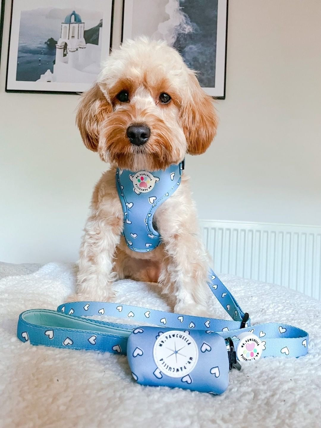 Heart of Blue Harness (7525888295139)