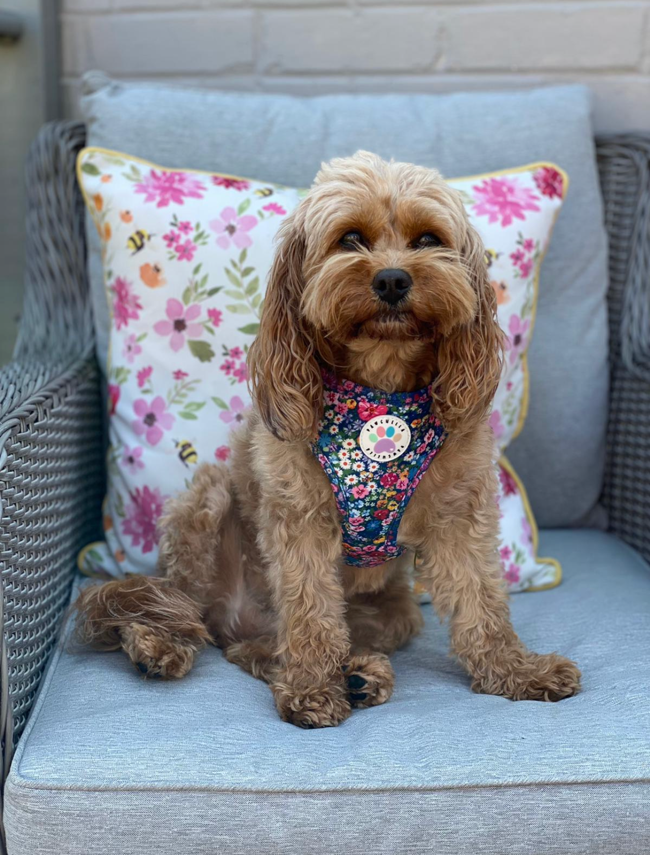 Wildflower Harness (7107796598953)