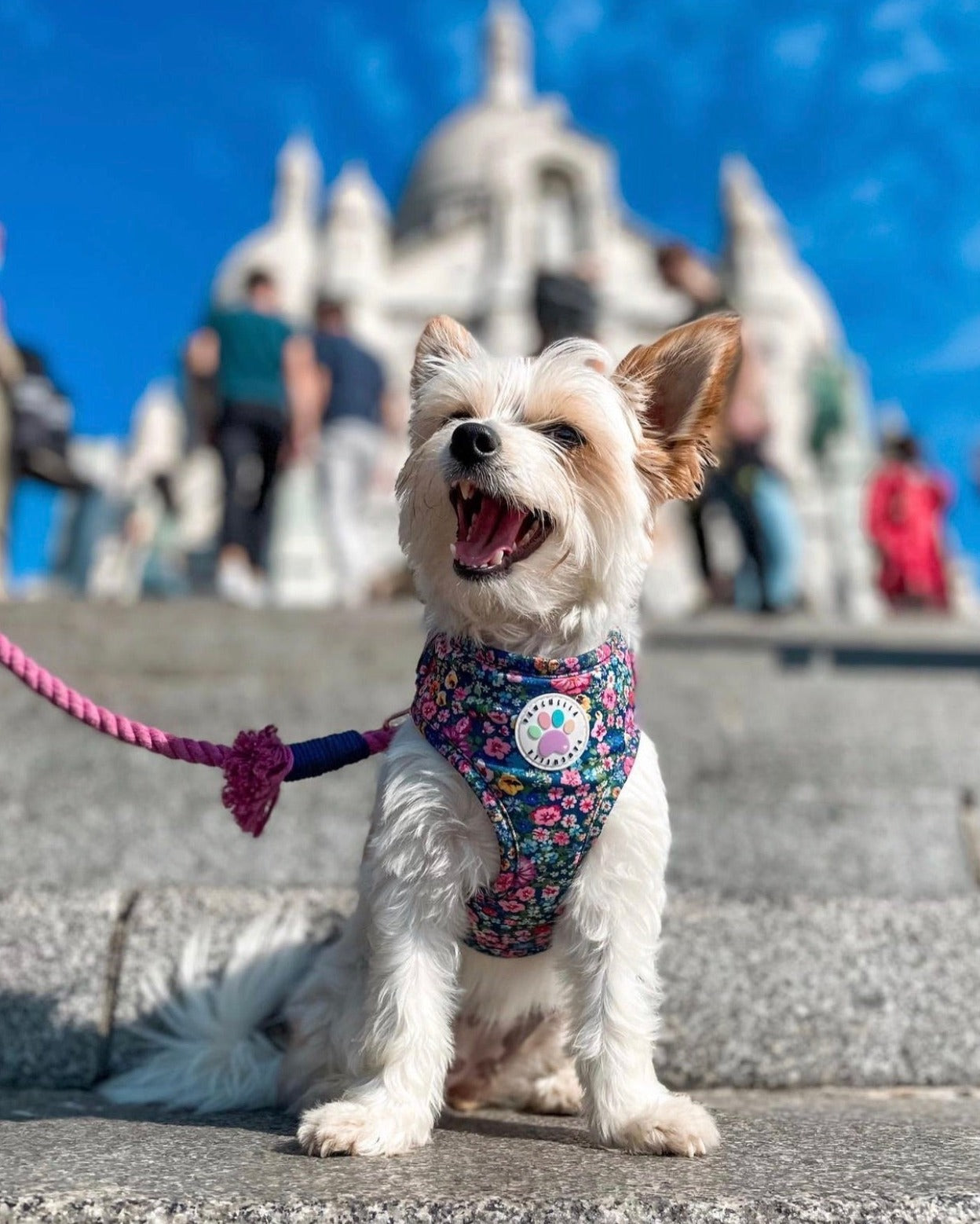 Wildflower Harness (7107796598953)