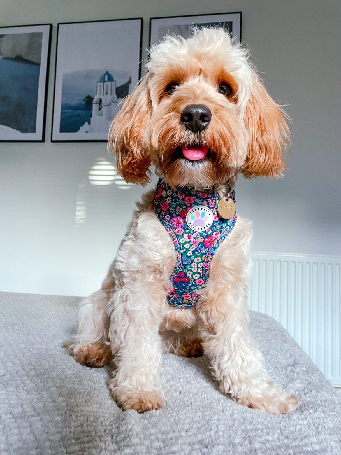 Wildflower Harness (7107796598953)