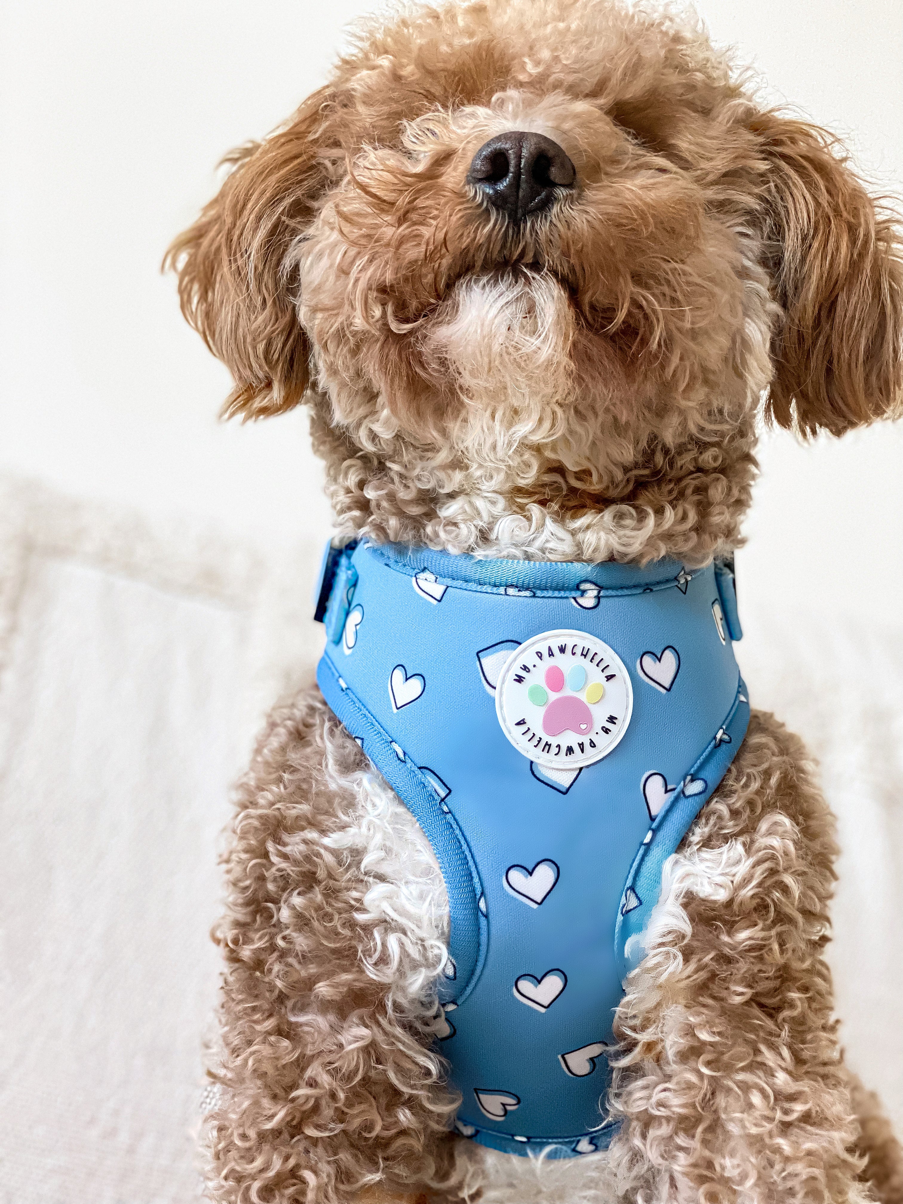 Heart of Blue Harness (7525888295139)