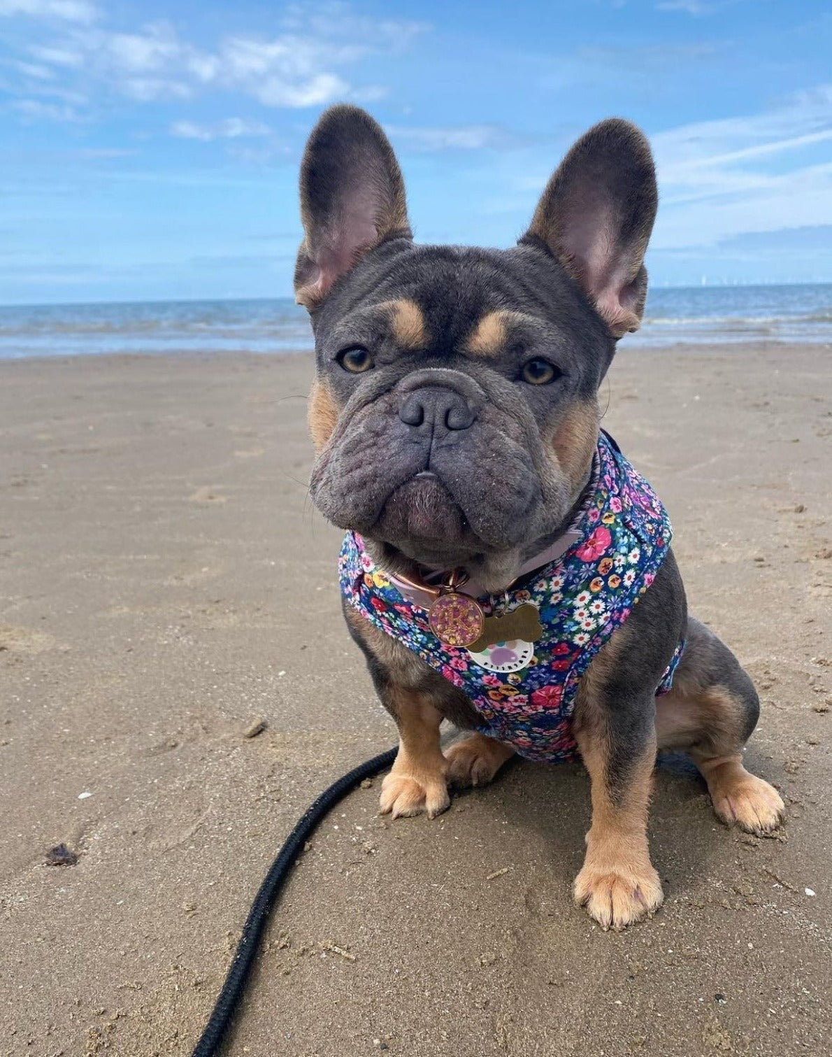 Wildflower Harness (7107796598953)