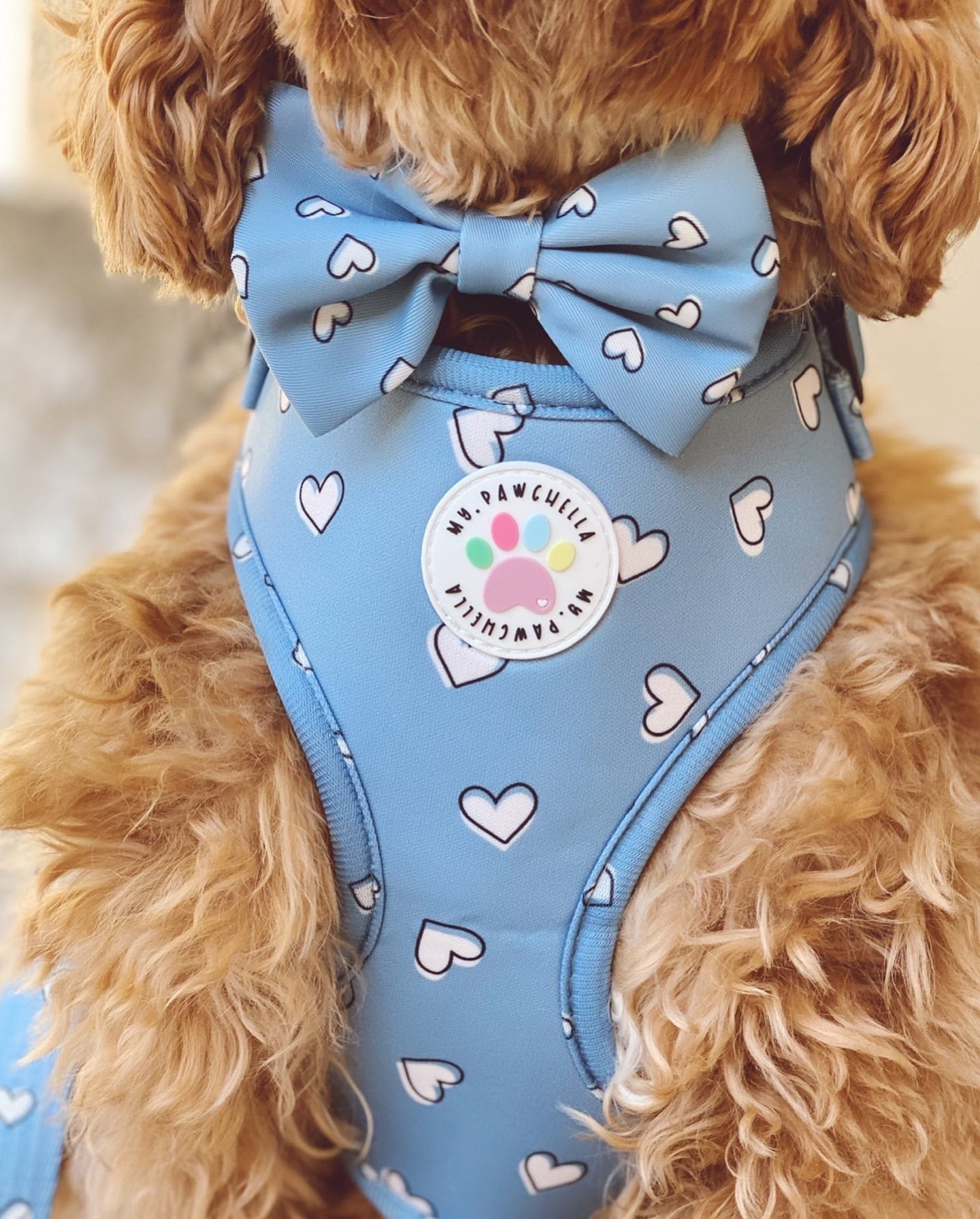 Heart of Blue Harness (7525888295139)