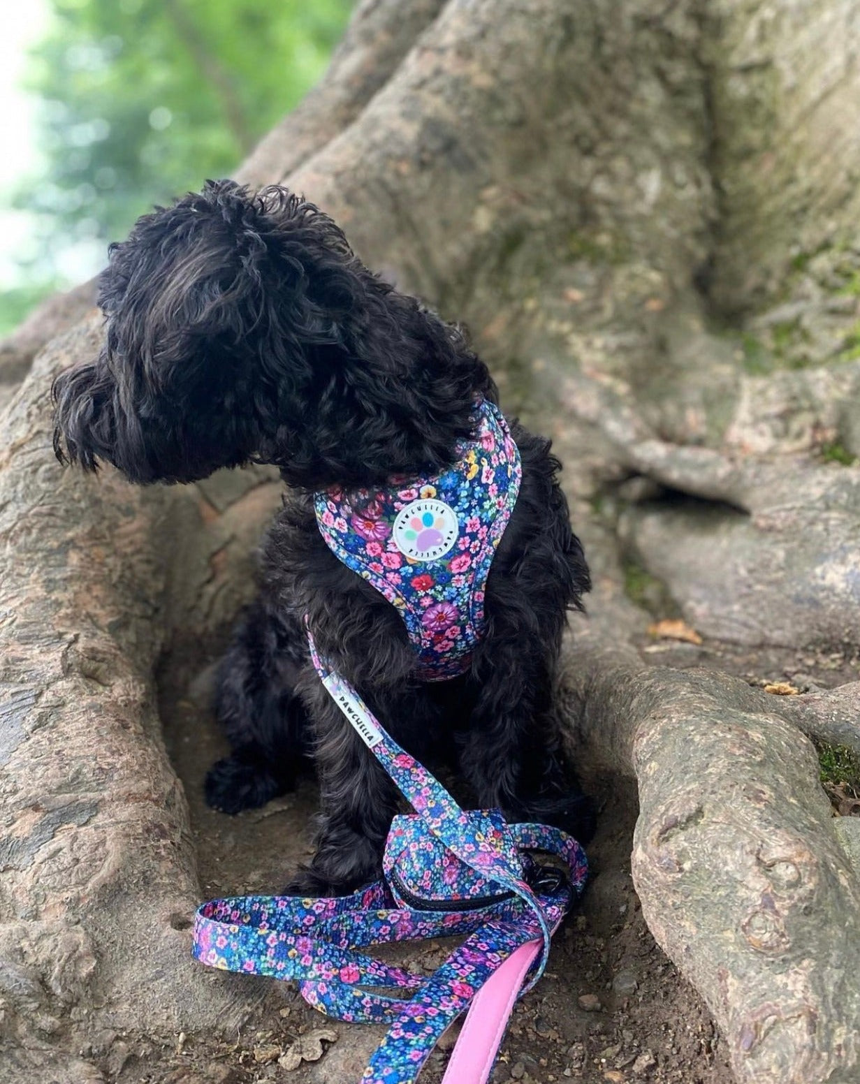 Wildflower Harness (7107796598953)