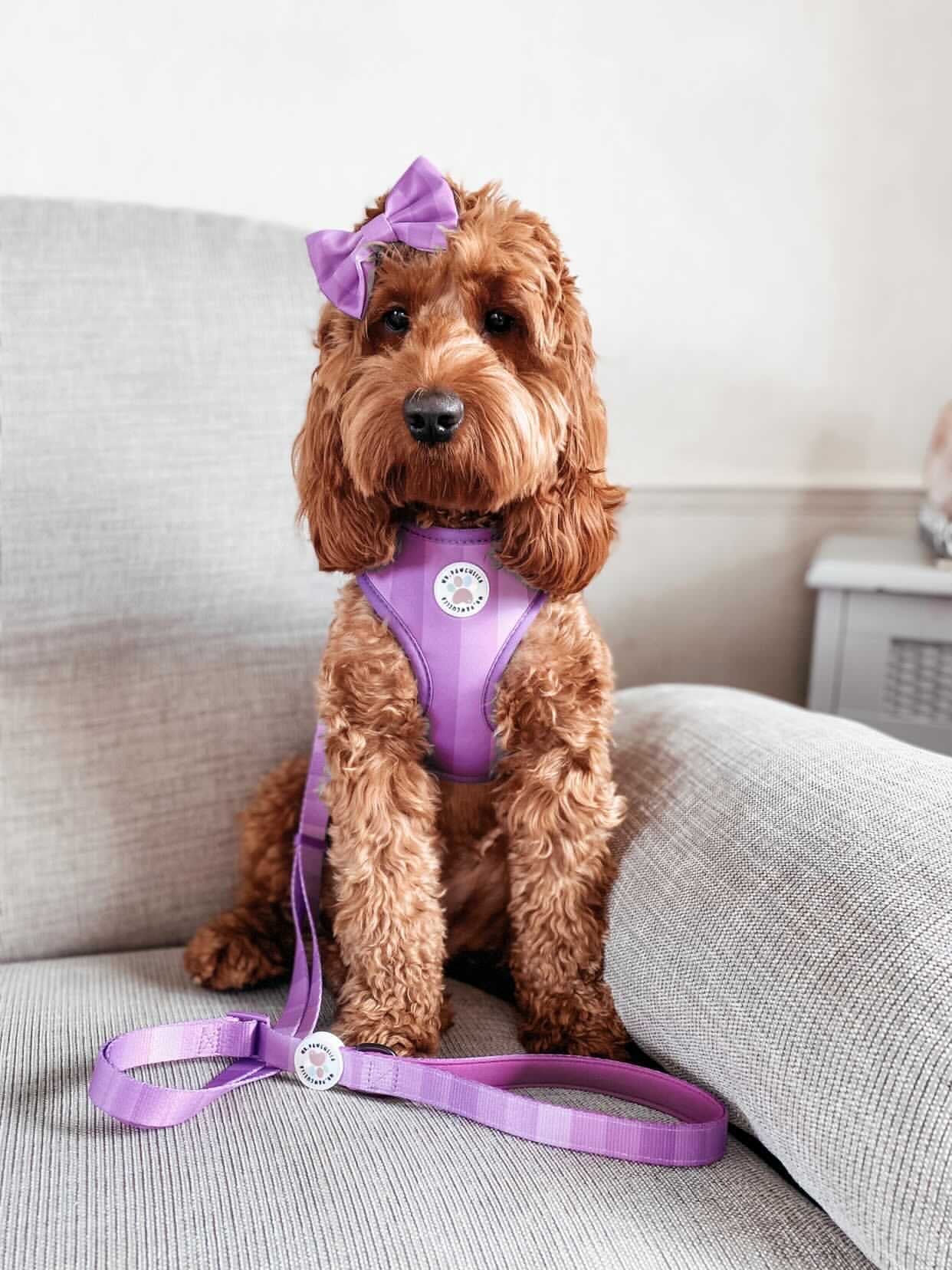 'Shades of Purple' Harness (7302209274025)