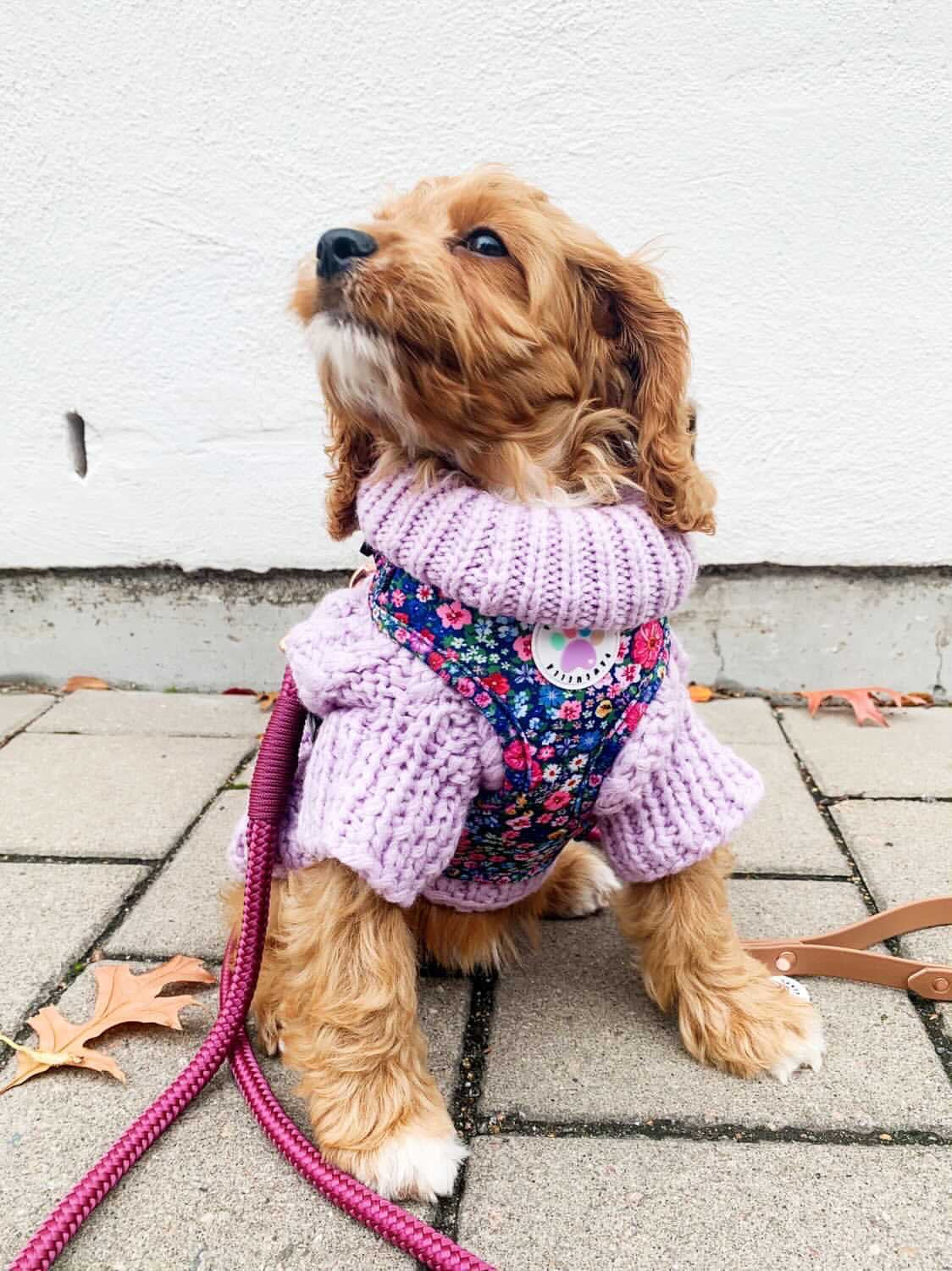 Wildflower Harness (7107796598953)