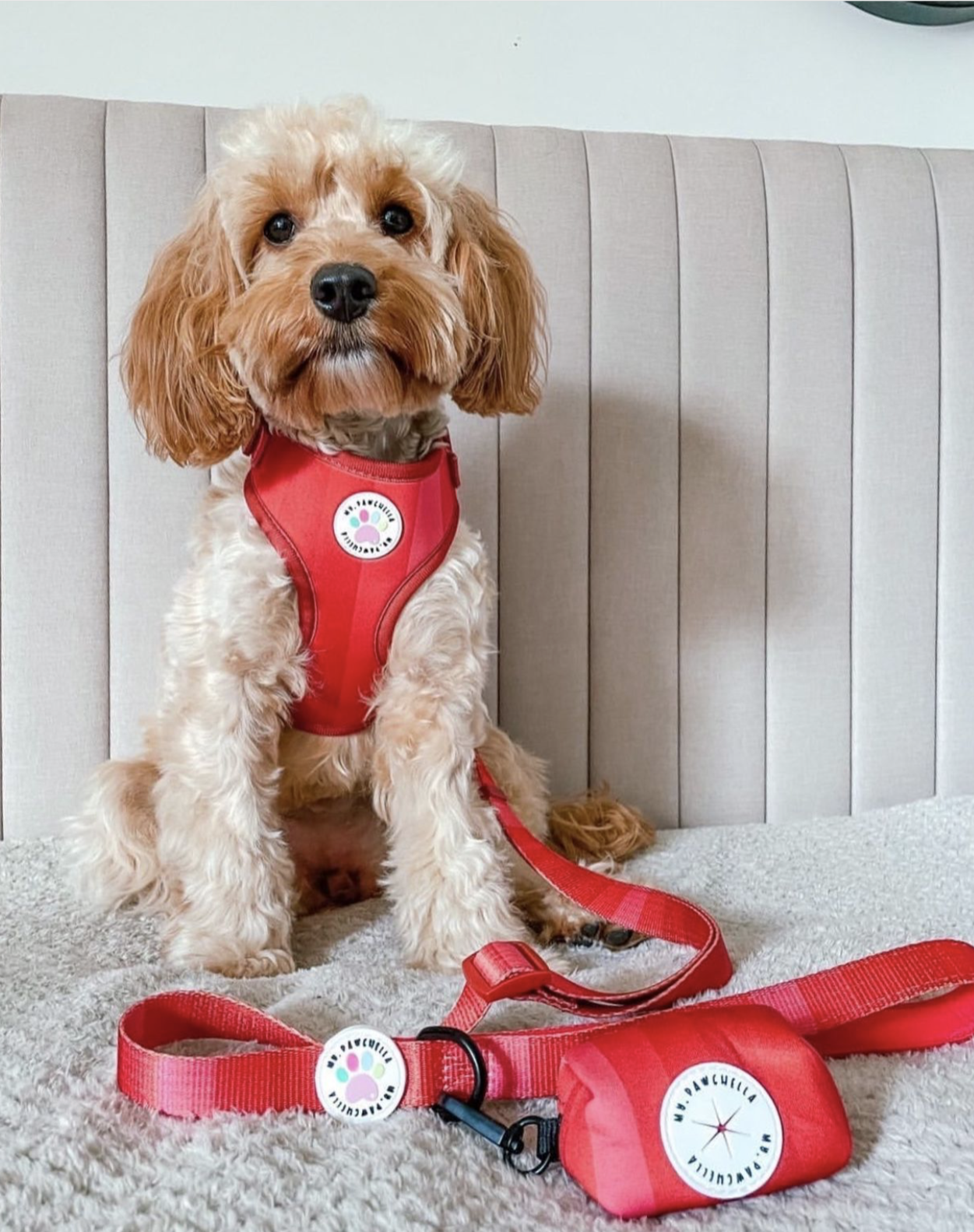 'Shades of Red' Harness (7302209142953)