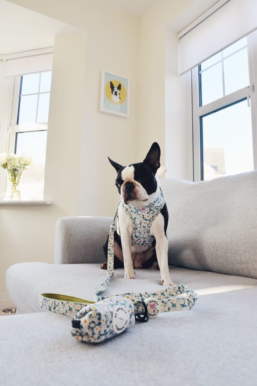 Oh my daisy Harness (7525287330019)