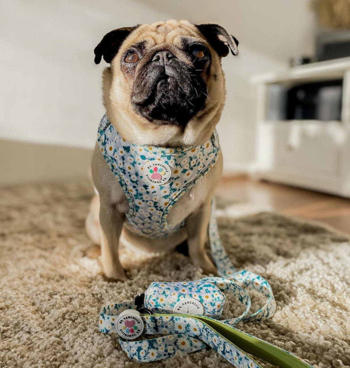 Oh my daisy Harness (7525287330019)