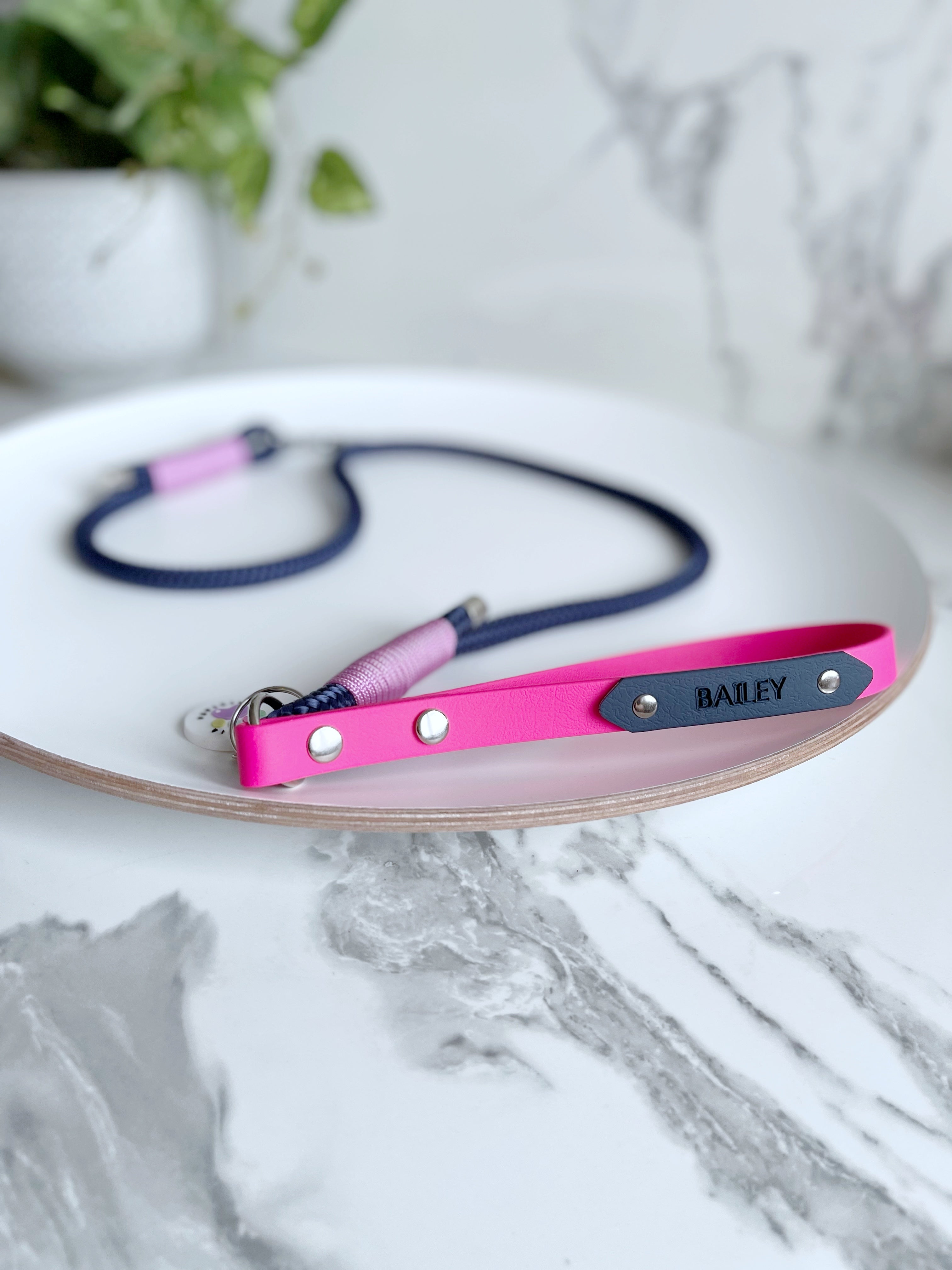 Name Tag (biothane / webbing) (5969561583785)