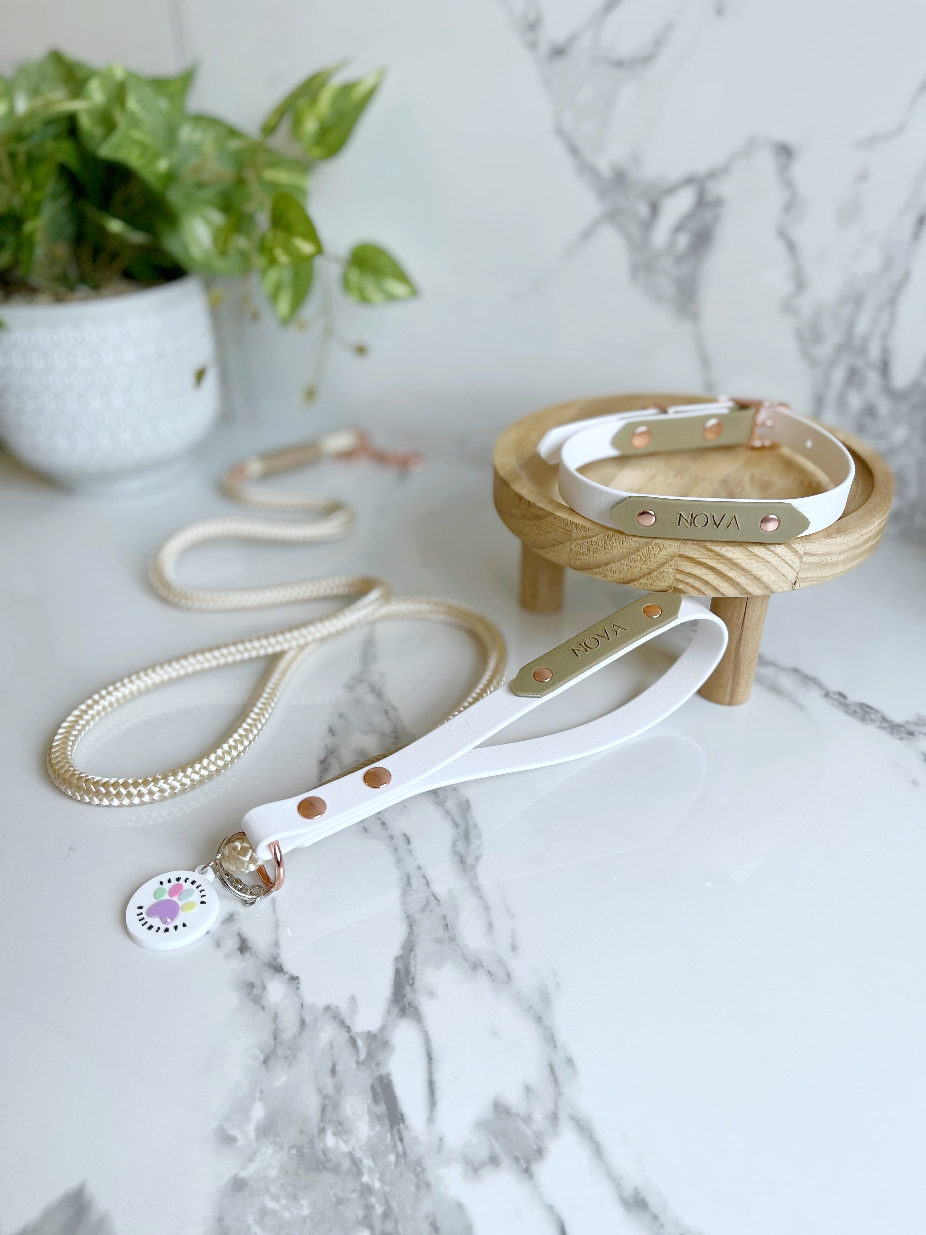 Name Tag (biothane / webbing) (5969561583785)