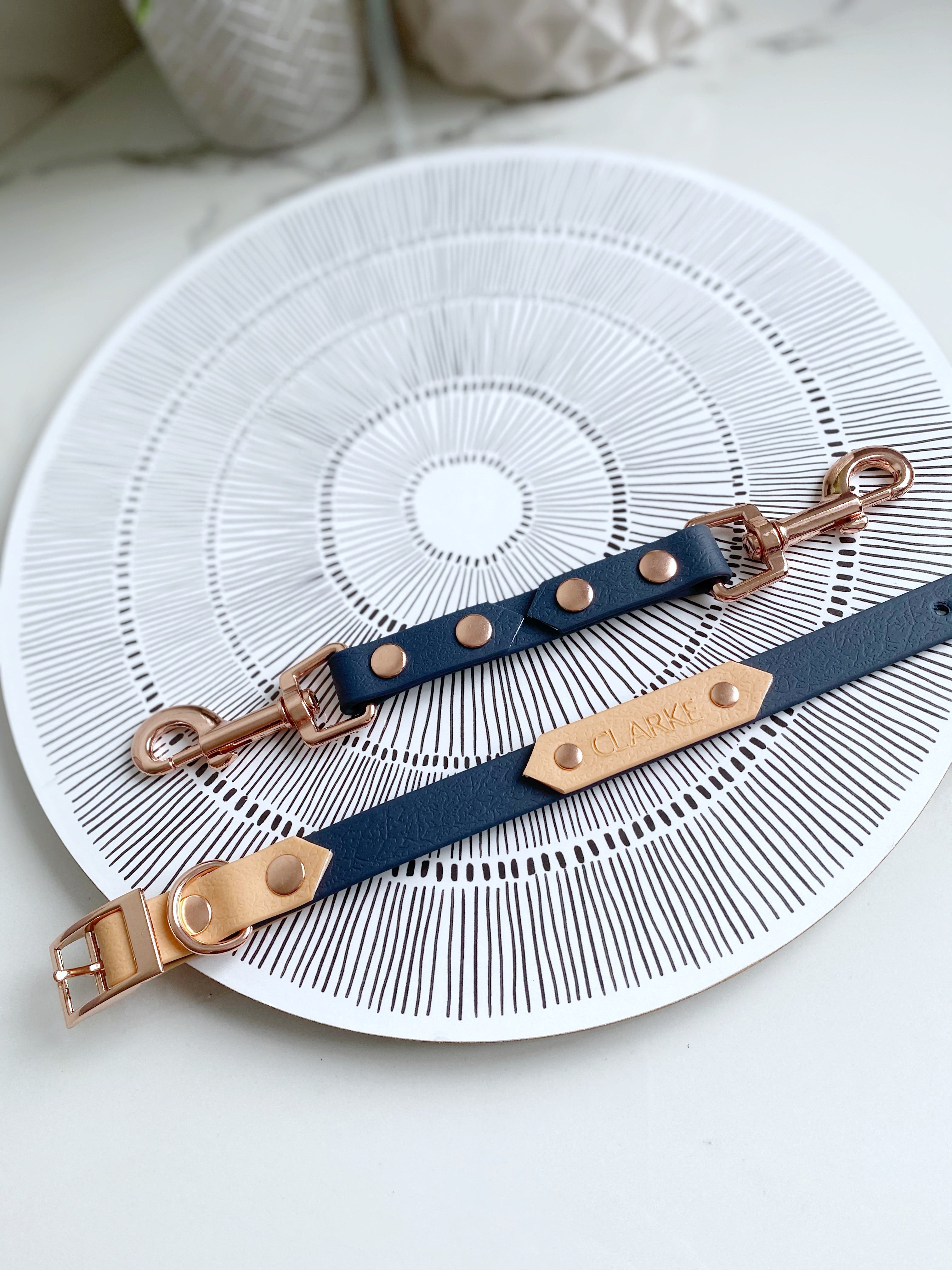 Biothane / coloured webbing Safety Strap (6407580745897)