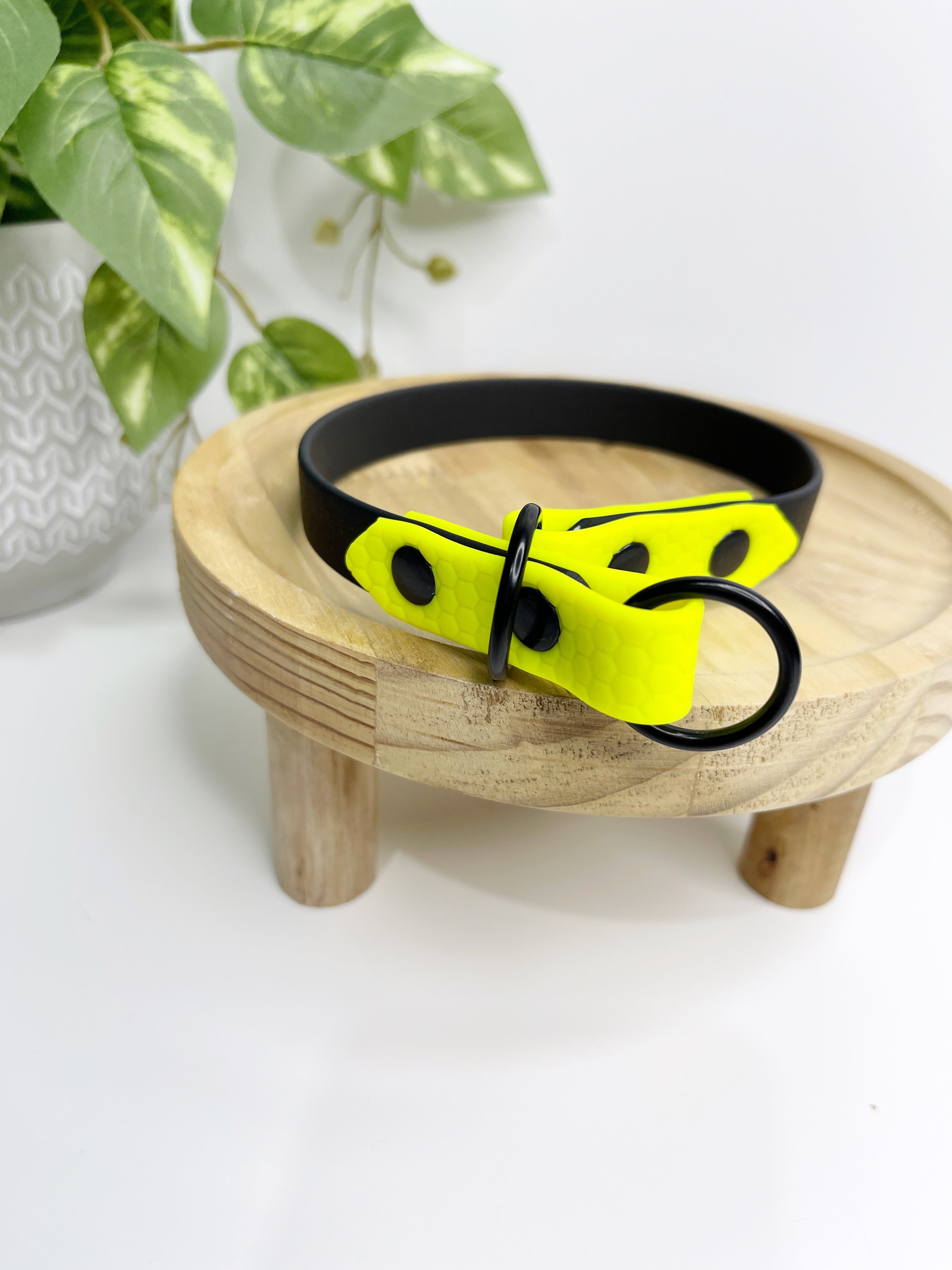 Biothane Slip collar My.Pawchella