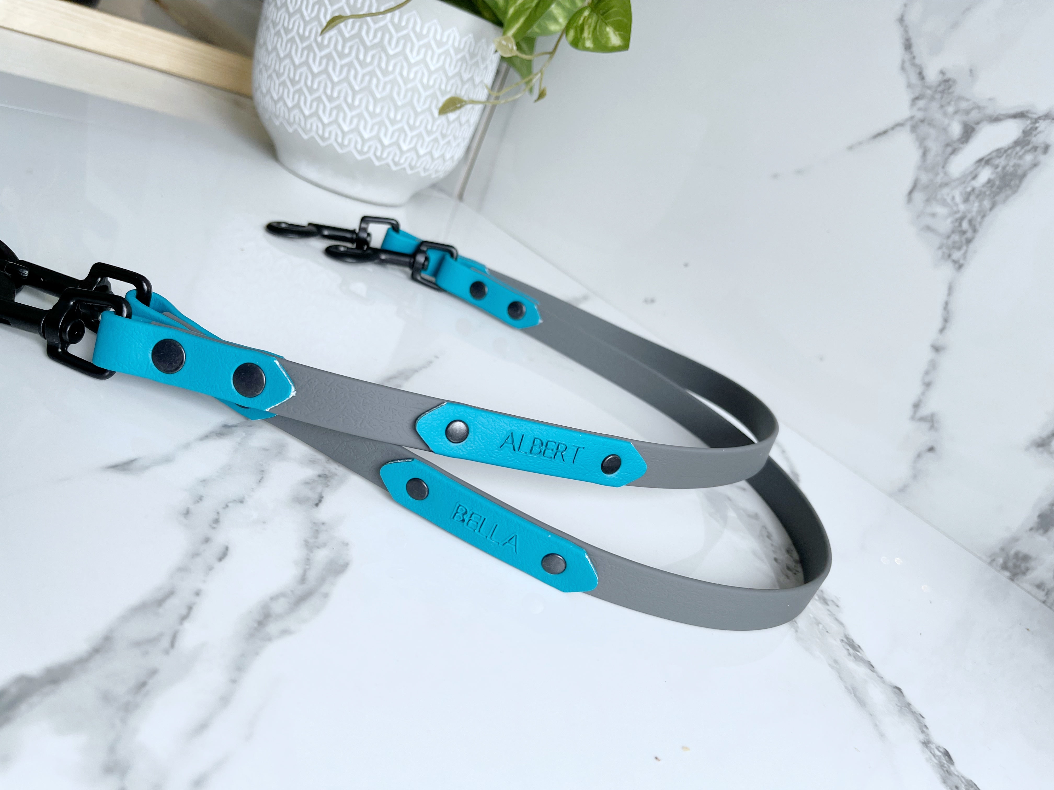 Name Tag (biothane / webbing) (5969561583785)