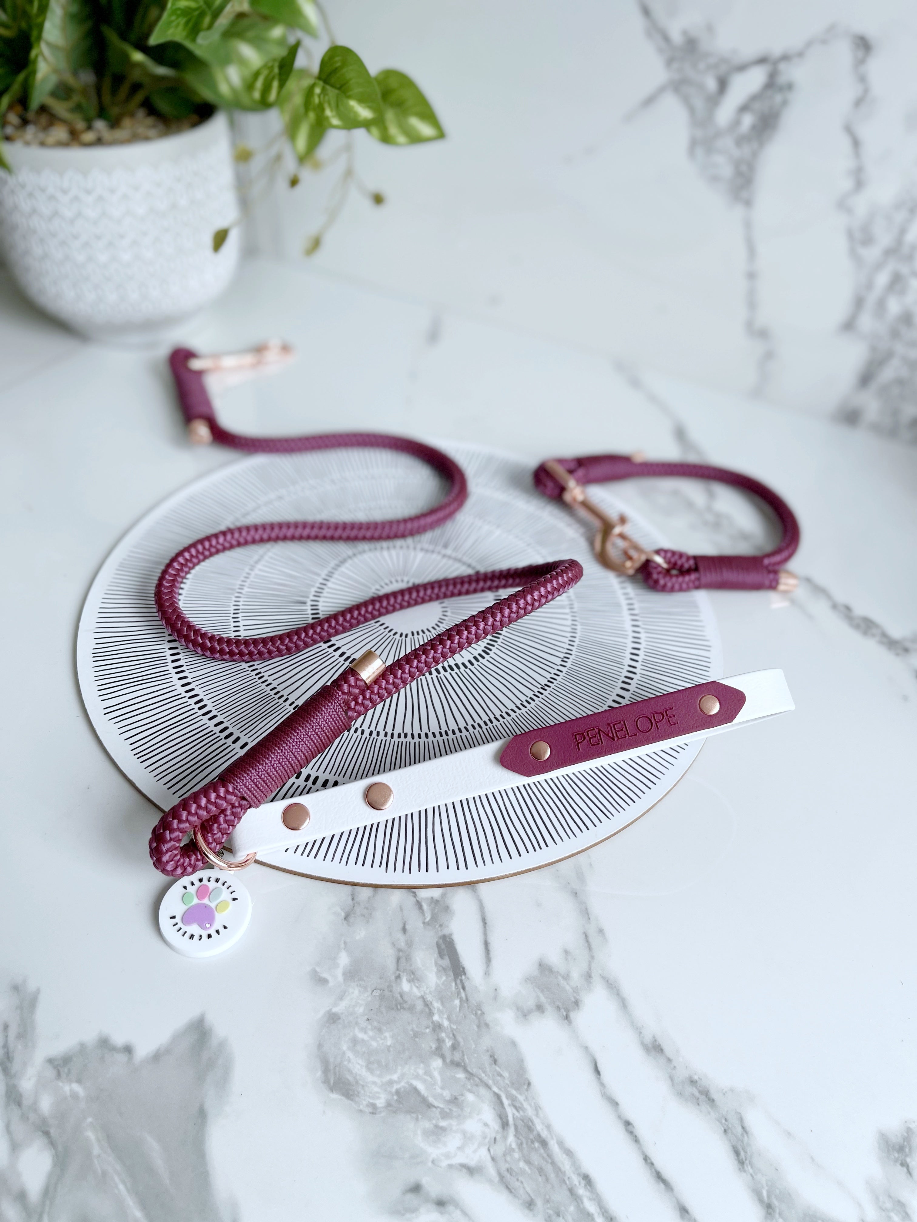 Name Tag (biothane / webbing) (5969561583785)