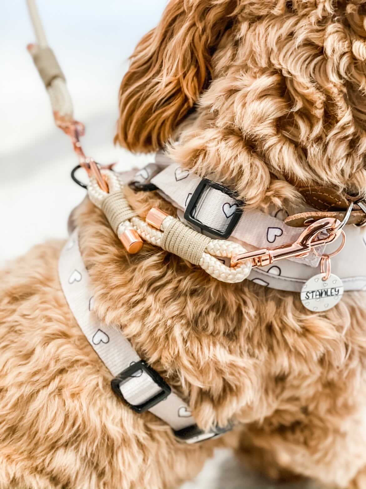 Rope Safety Strap (6459903344809)