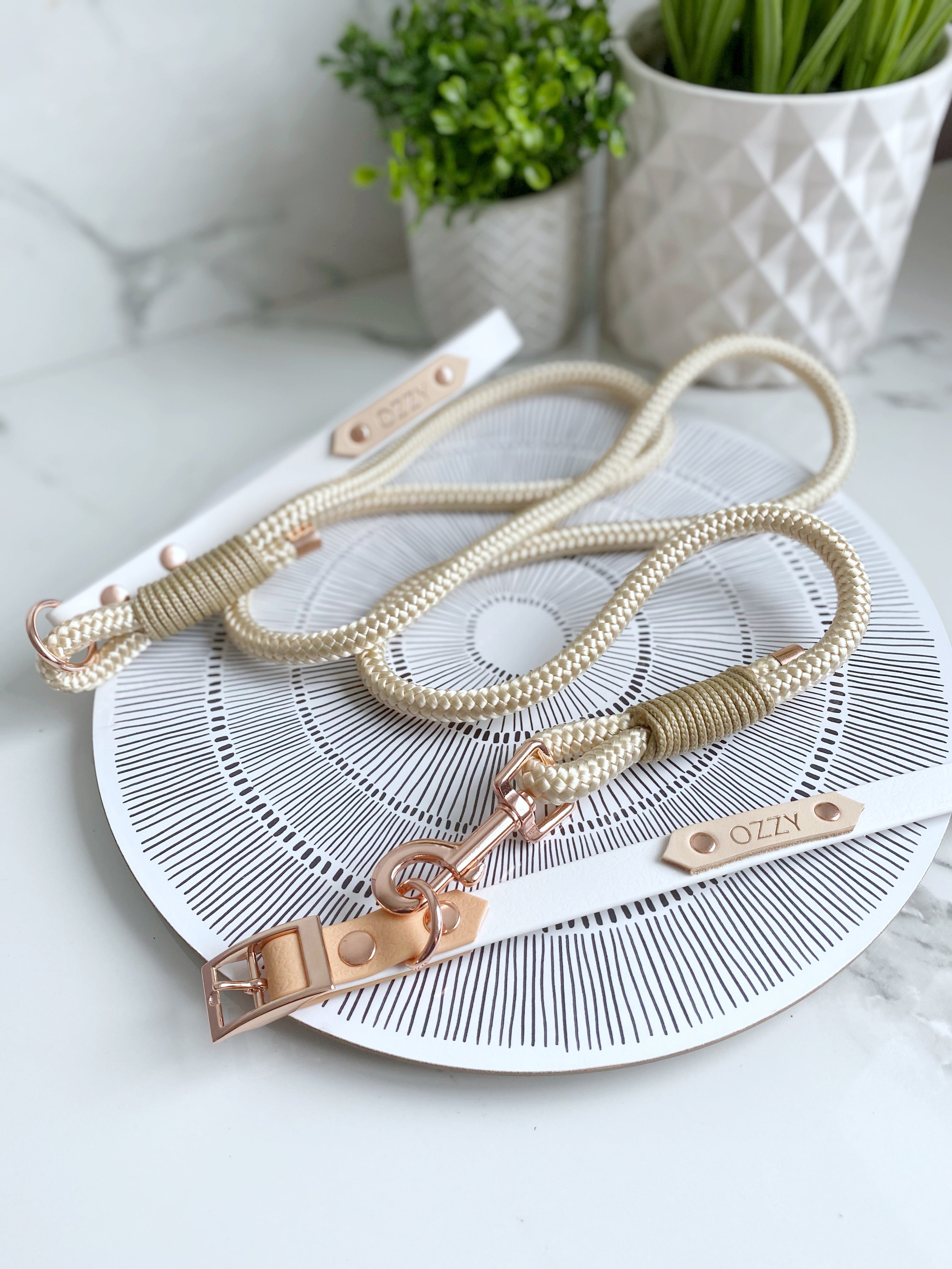 'Teddies Choice' rope lead (5976939626665)