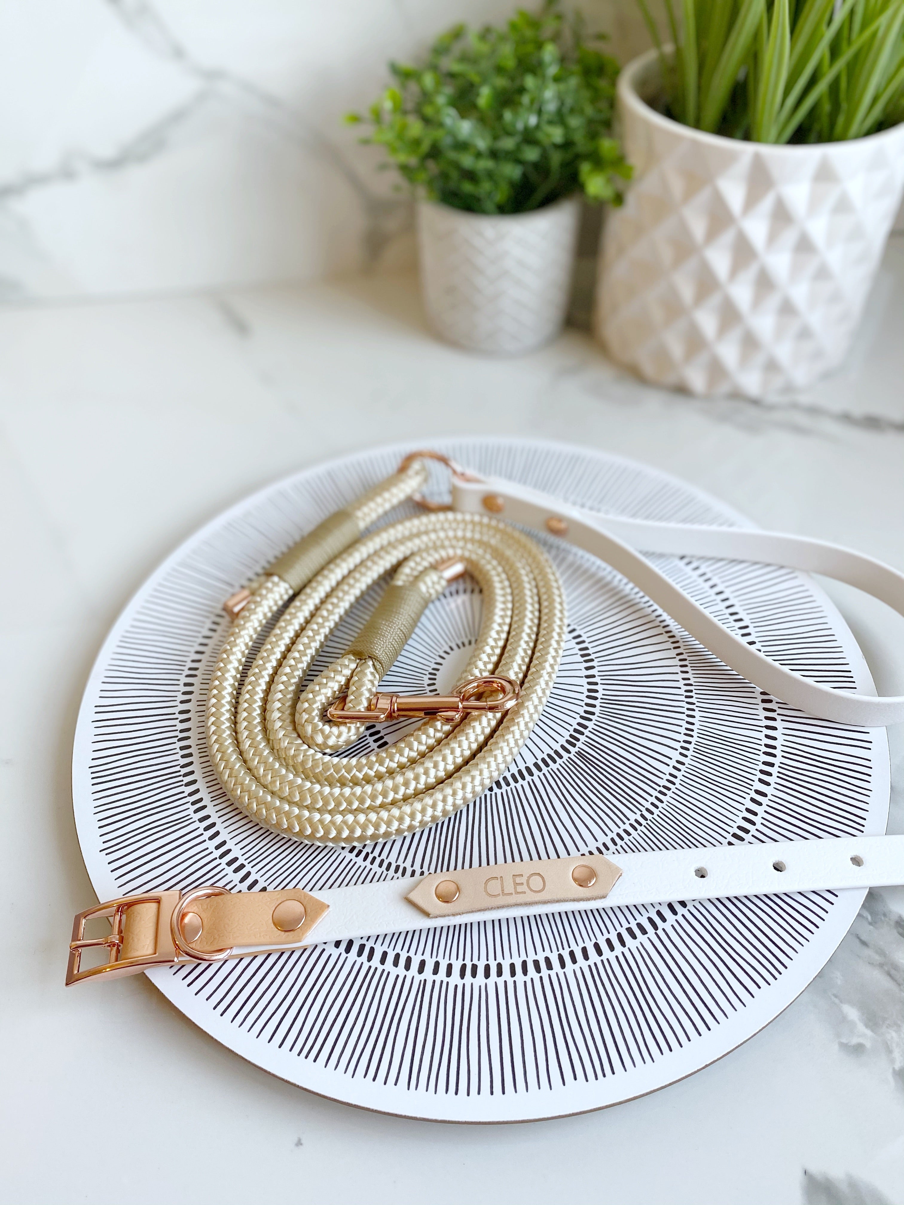 'Teddies Choice' rope lead (5976939626665)