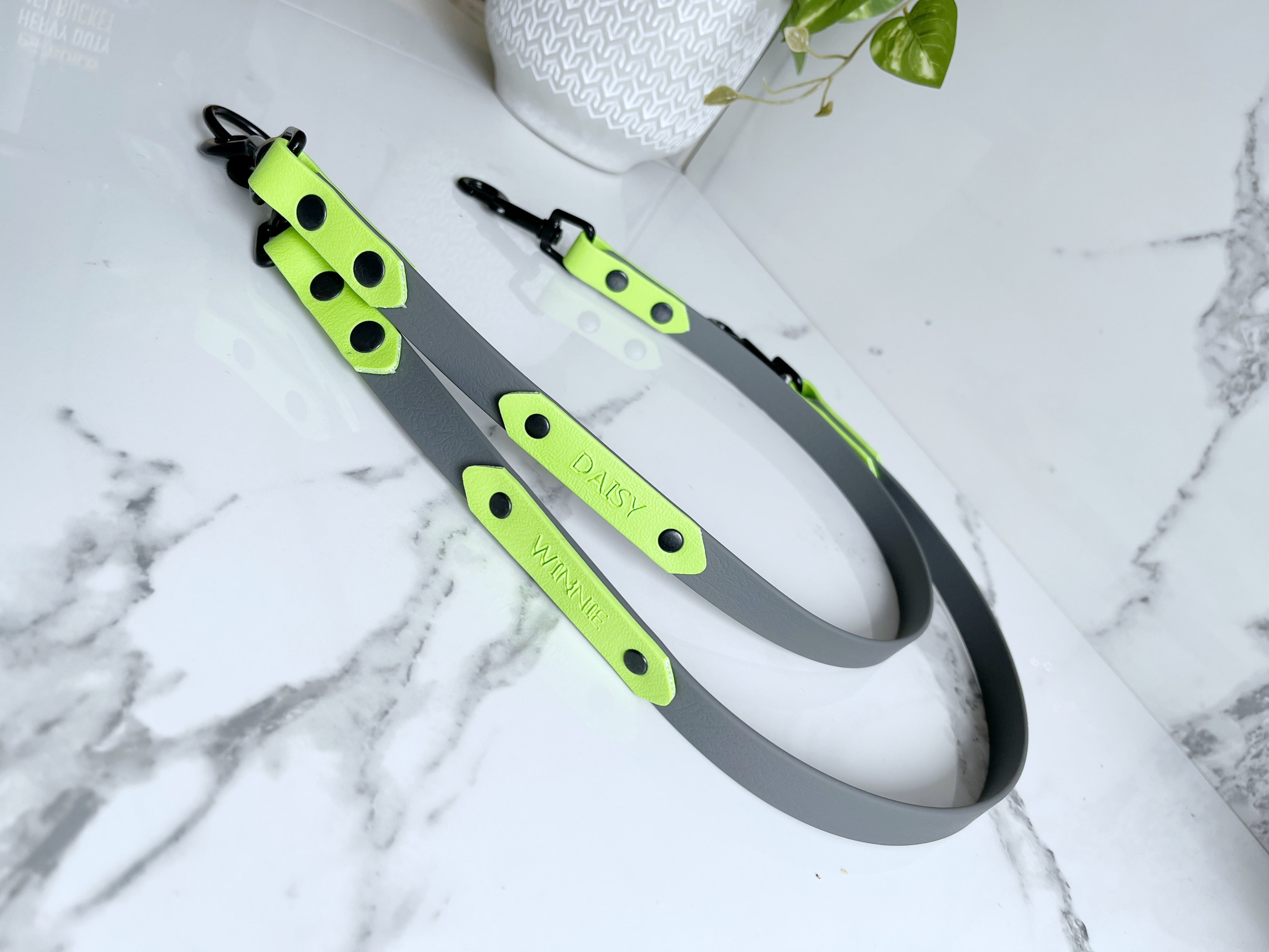 Name Tag (biothane / webbing) (5969561583785)