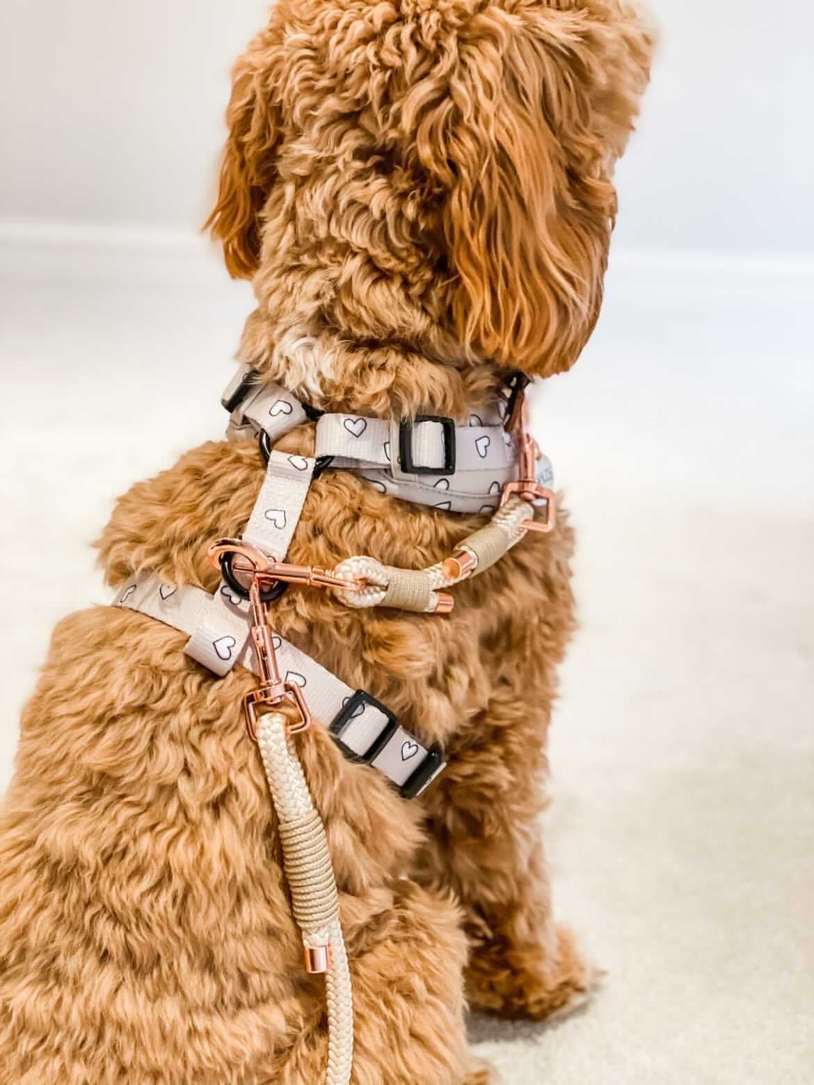 Rope Safety Strap (6459903344809)