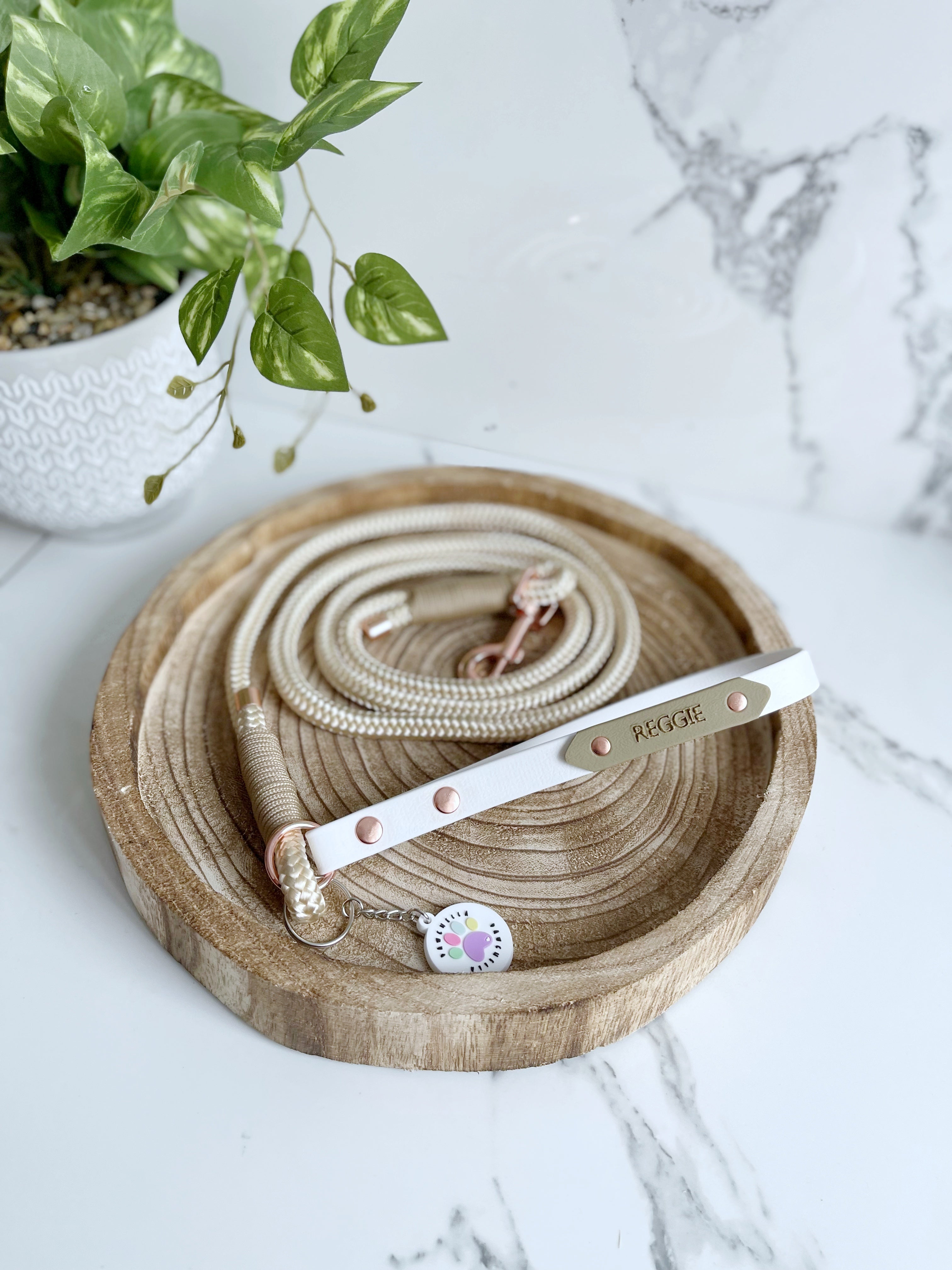 Name Tag (biothane / webbing) (5969561583785)