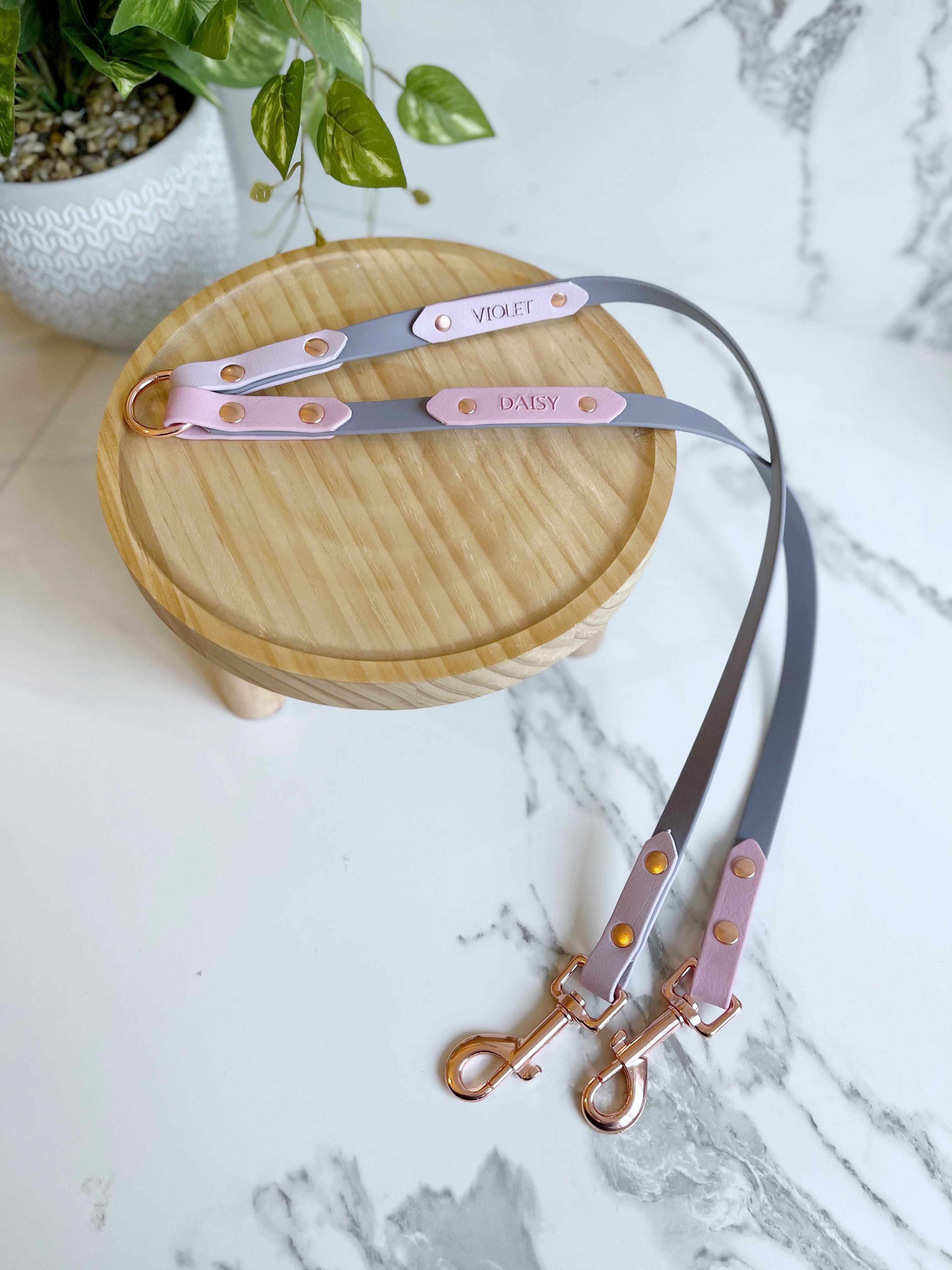 Name Tag (biothane / webbing) (5969561583785)