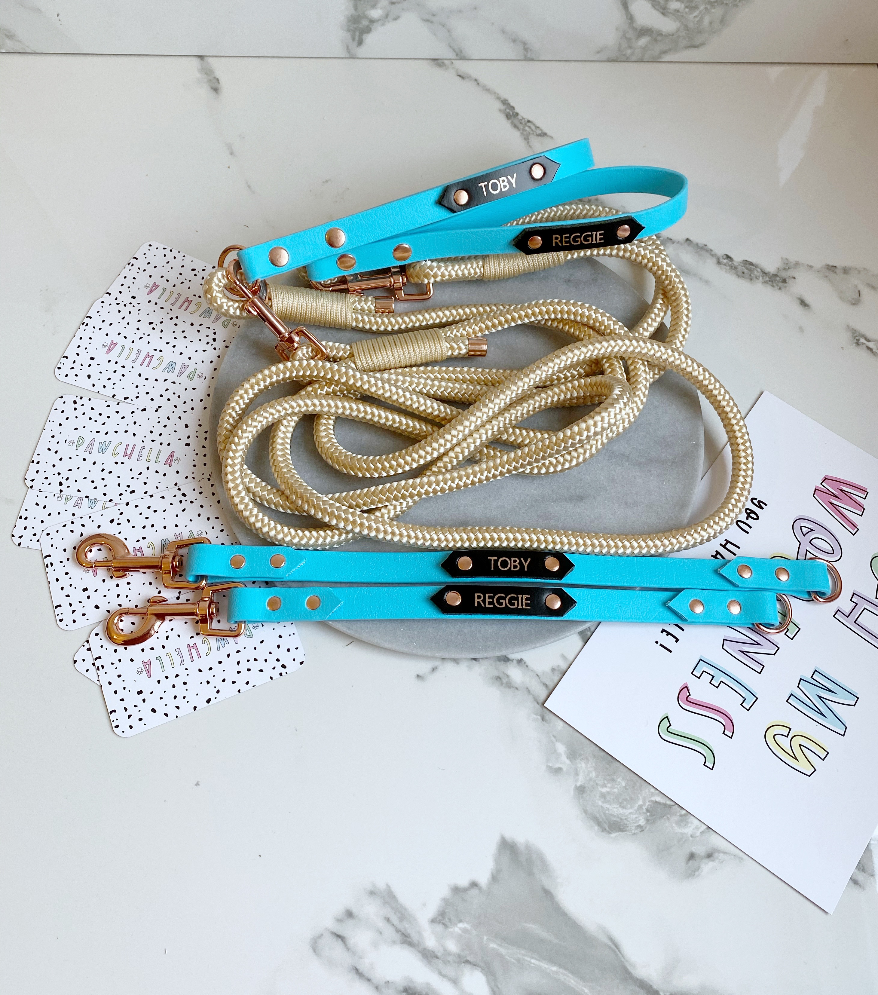 Clip on biothane / coloured webbing collar (6103638376617)