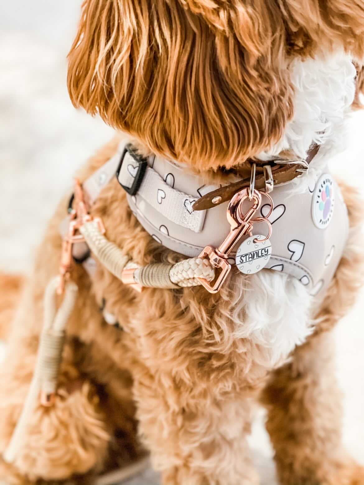 Rope Safety Strap (6459903344809)