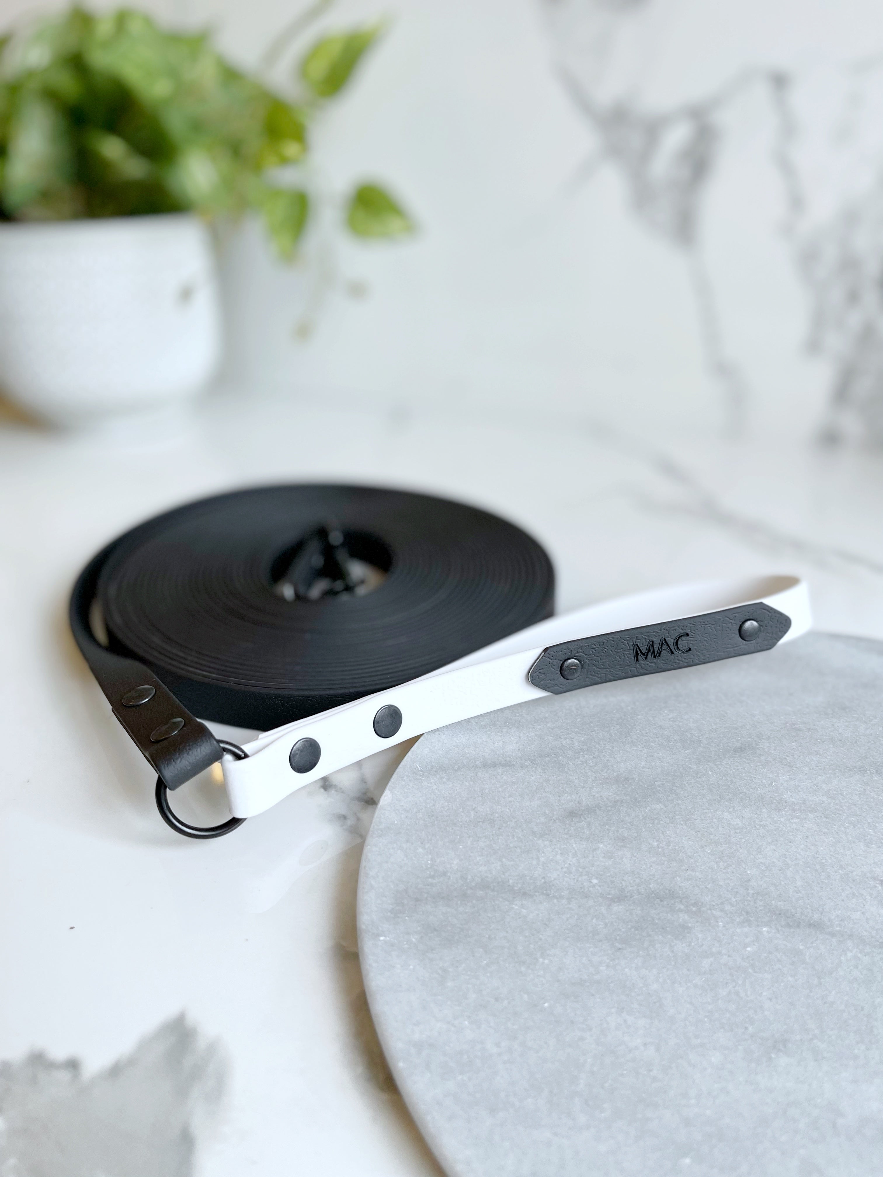 Name Tag (biothane / webbing) (5969561583785)