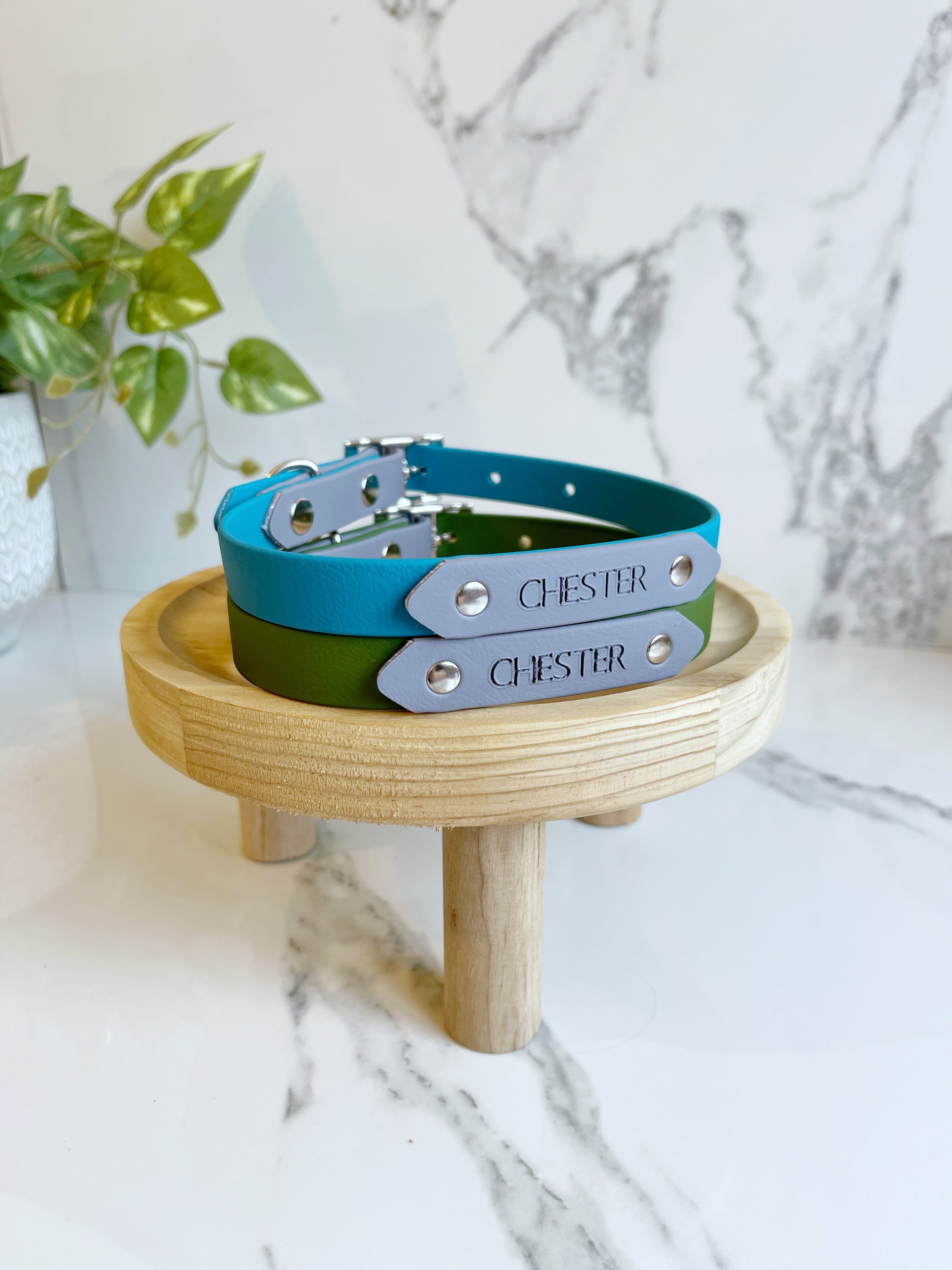 Name Tag (biothane / webbing) (5969561583785)