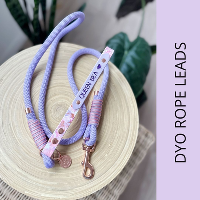 Lockable carabiner clips