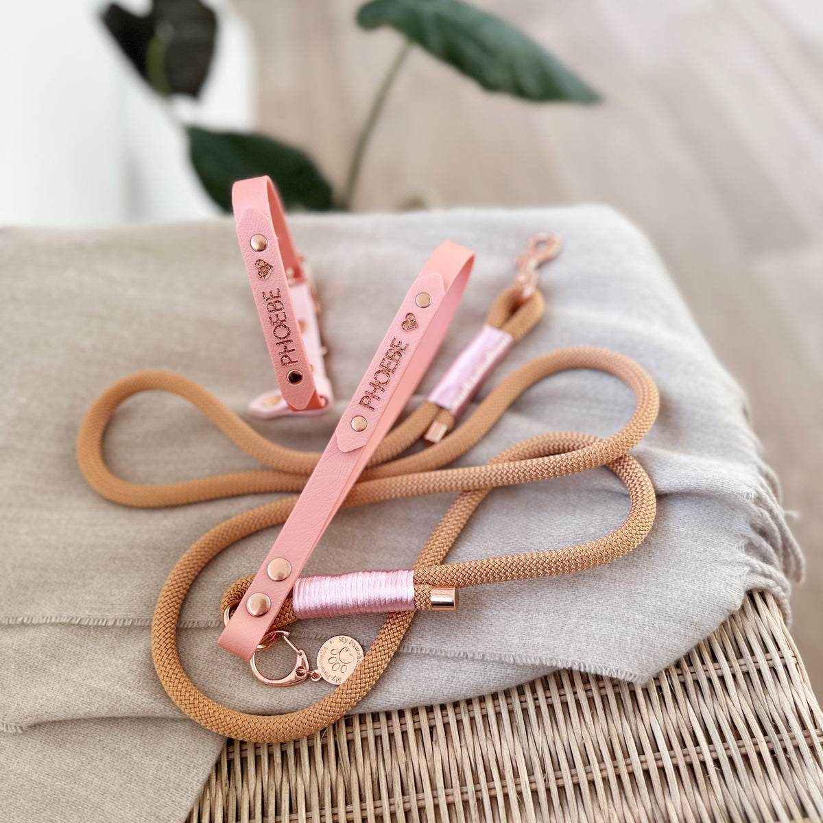 Matching Rope Lead & Biothane Collar – My.Pawchella