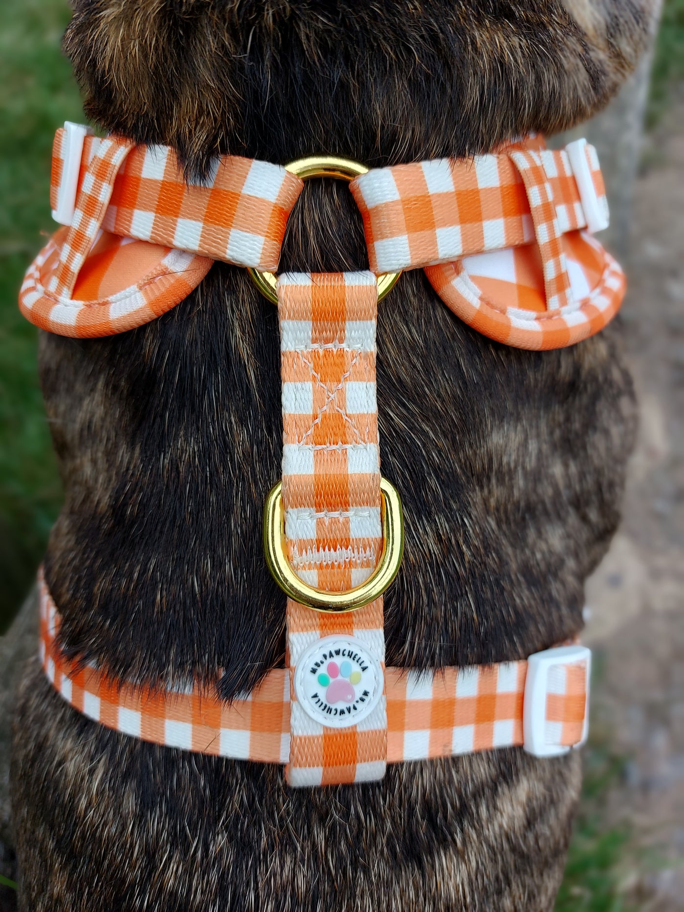 Adjustable harness - pumpkin picnic