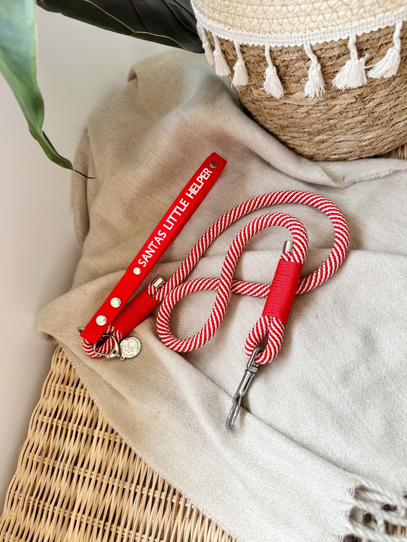 Candy cane rope lead