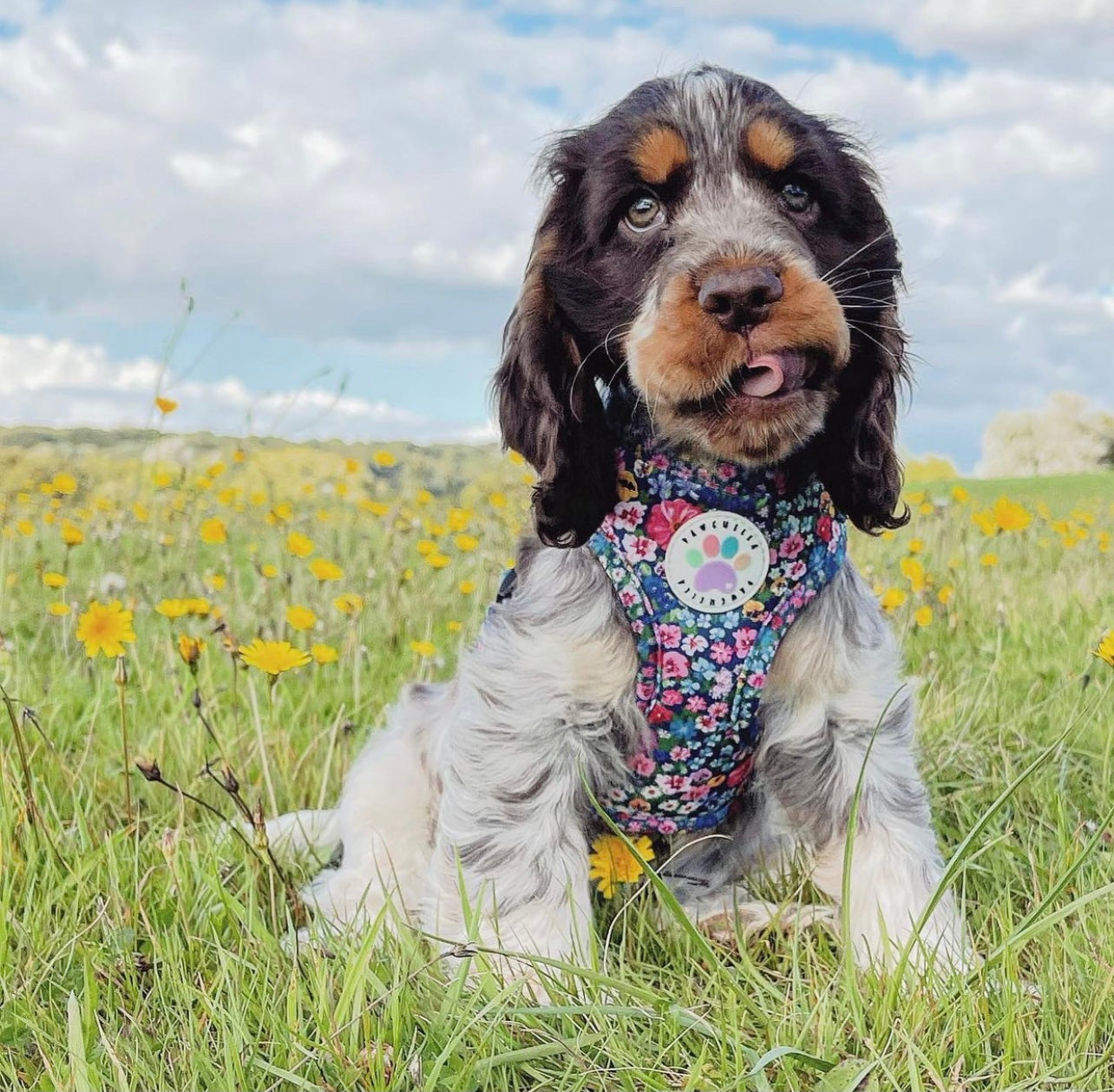 Wildflower Harness (7107796598953)
