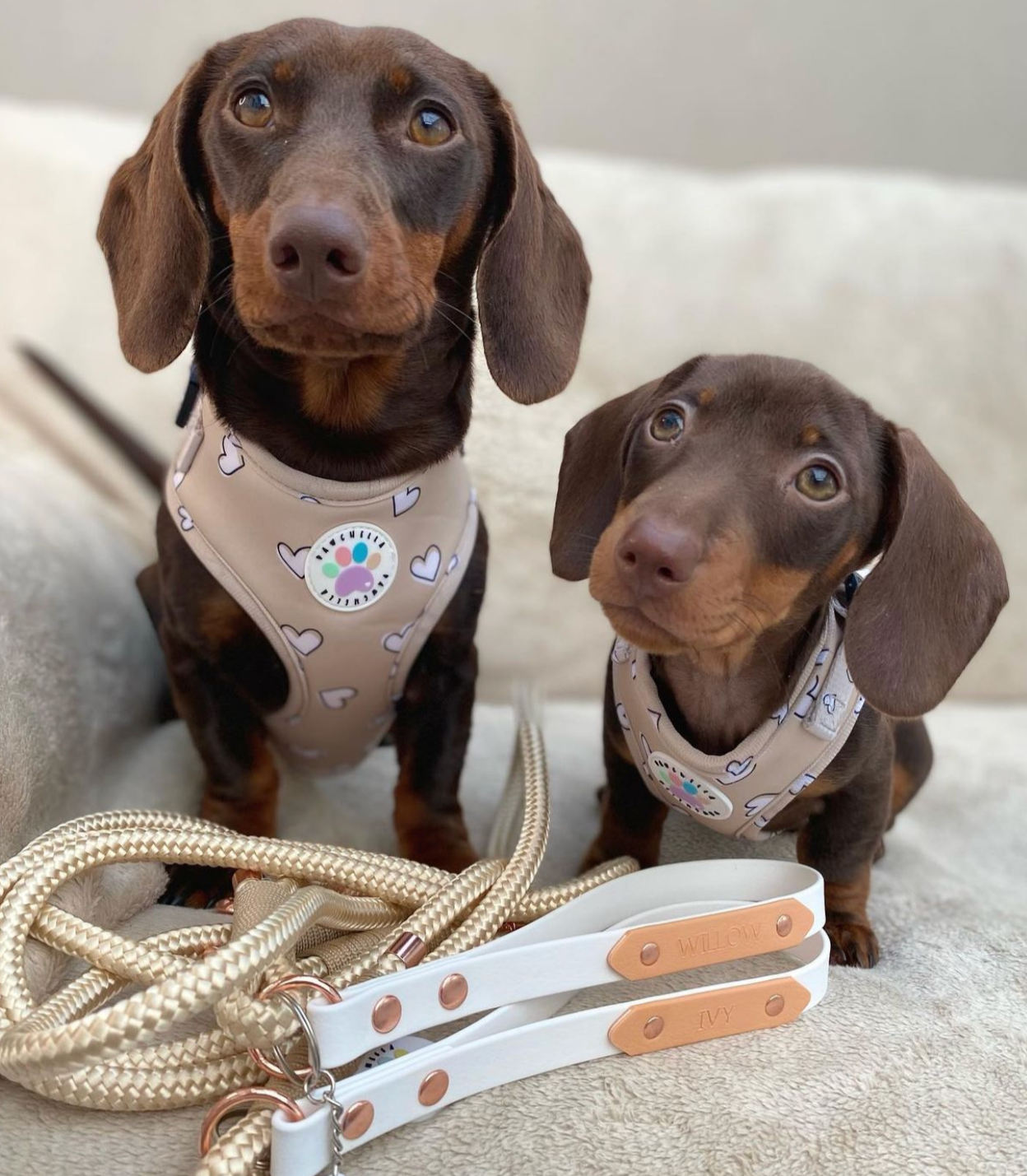 Heart of Gold Harness (6366082072745)