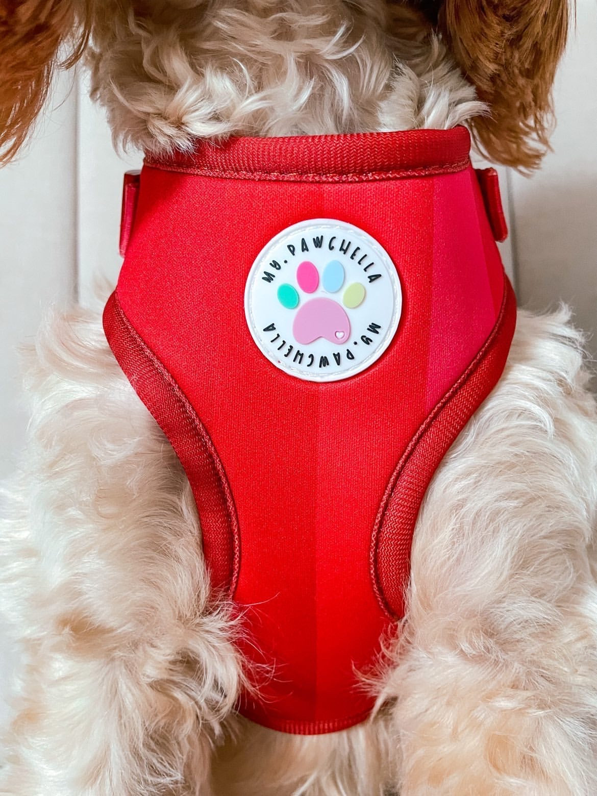 'Shades of Red' Harness (7302209142953)