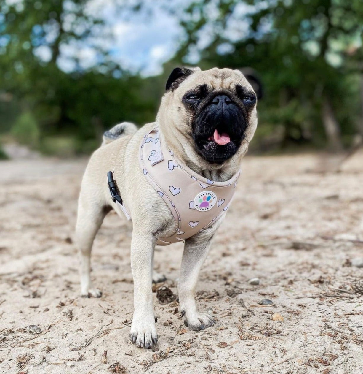 Heart of Gold Harness (6366082072745)