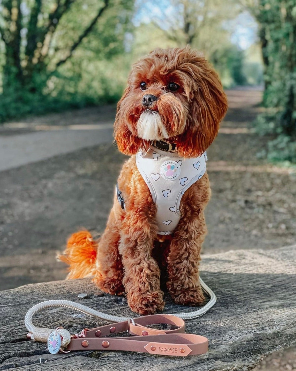 Heart of Gold Harness (6366082072745)