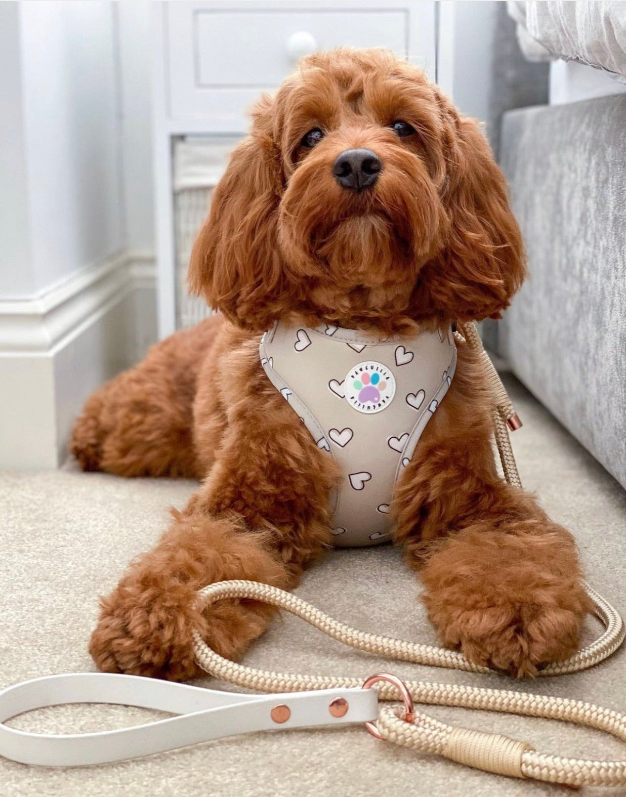 Heart of Gold Harness (6366082072745)