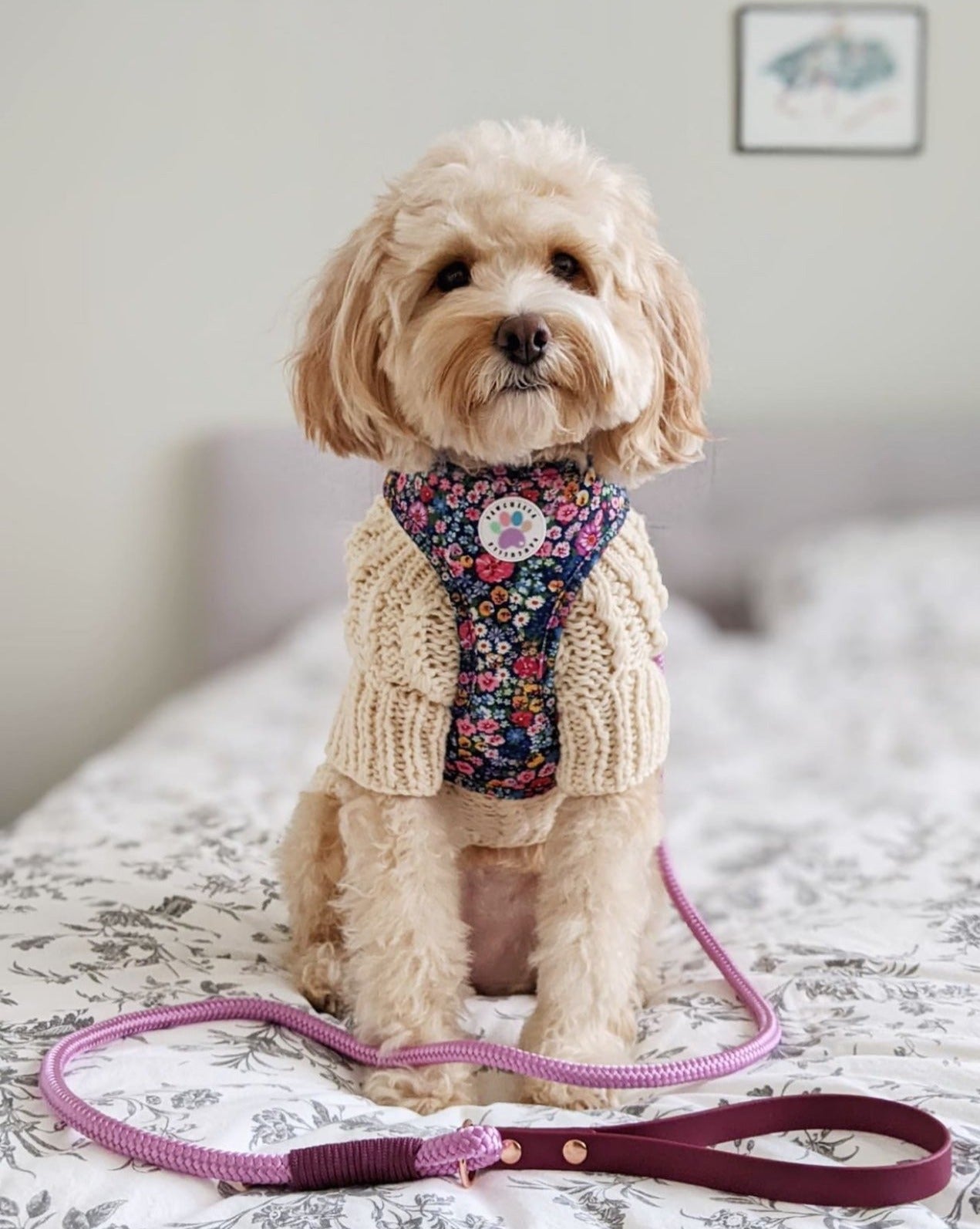 Wildflower Harness (7107796598953)